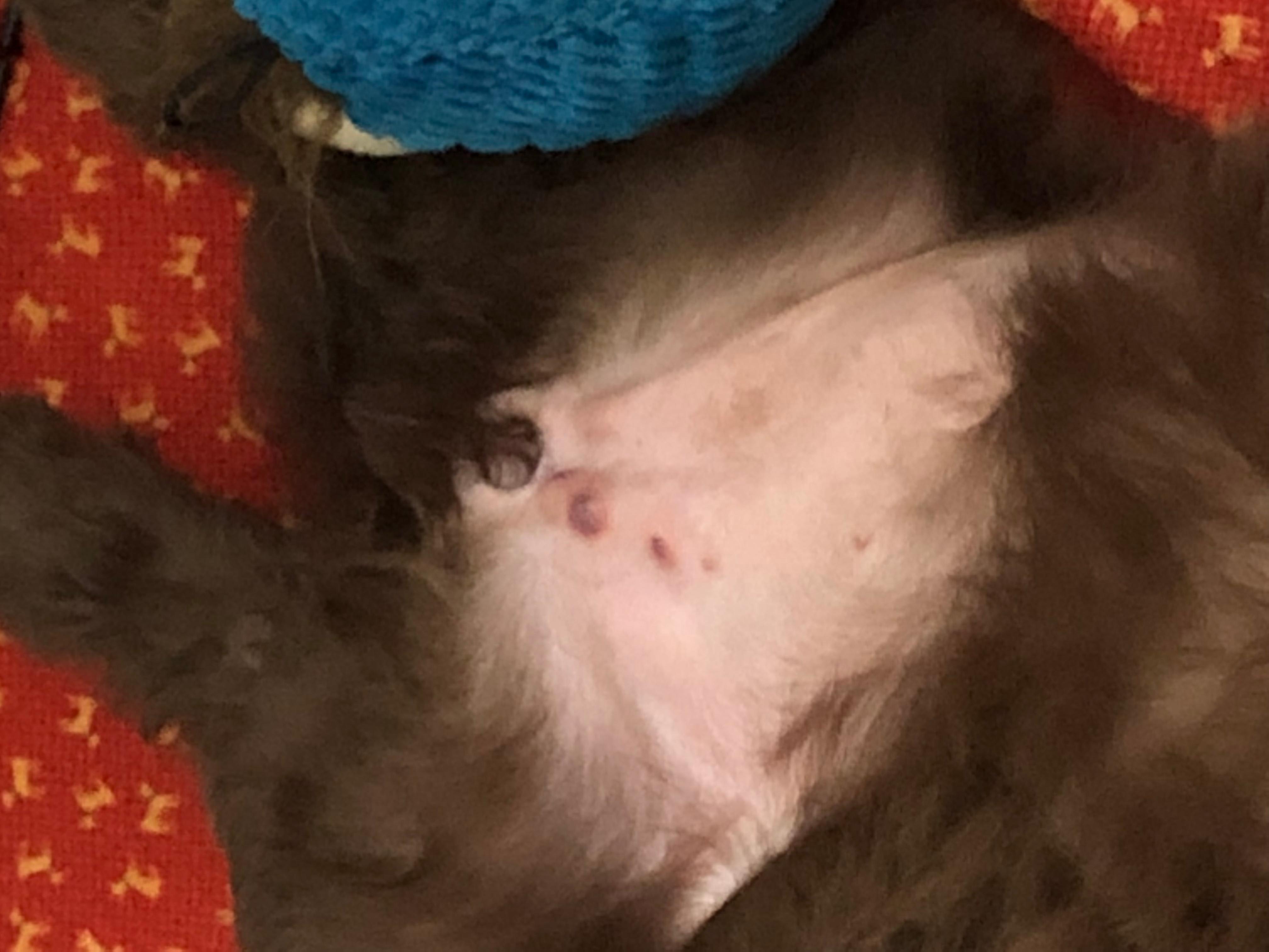 Question details sensitive content