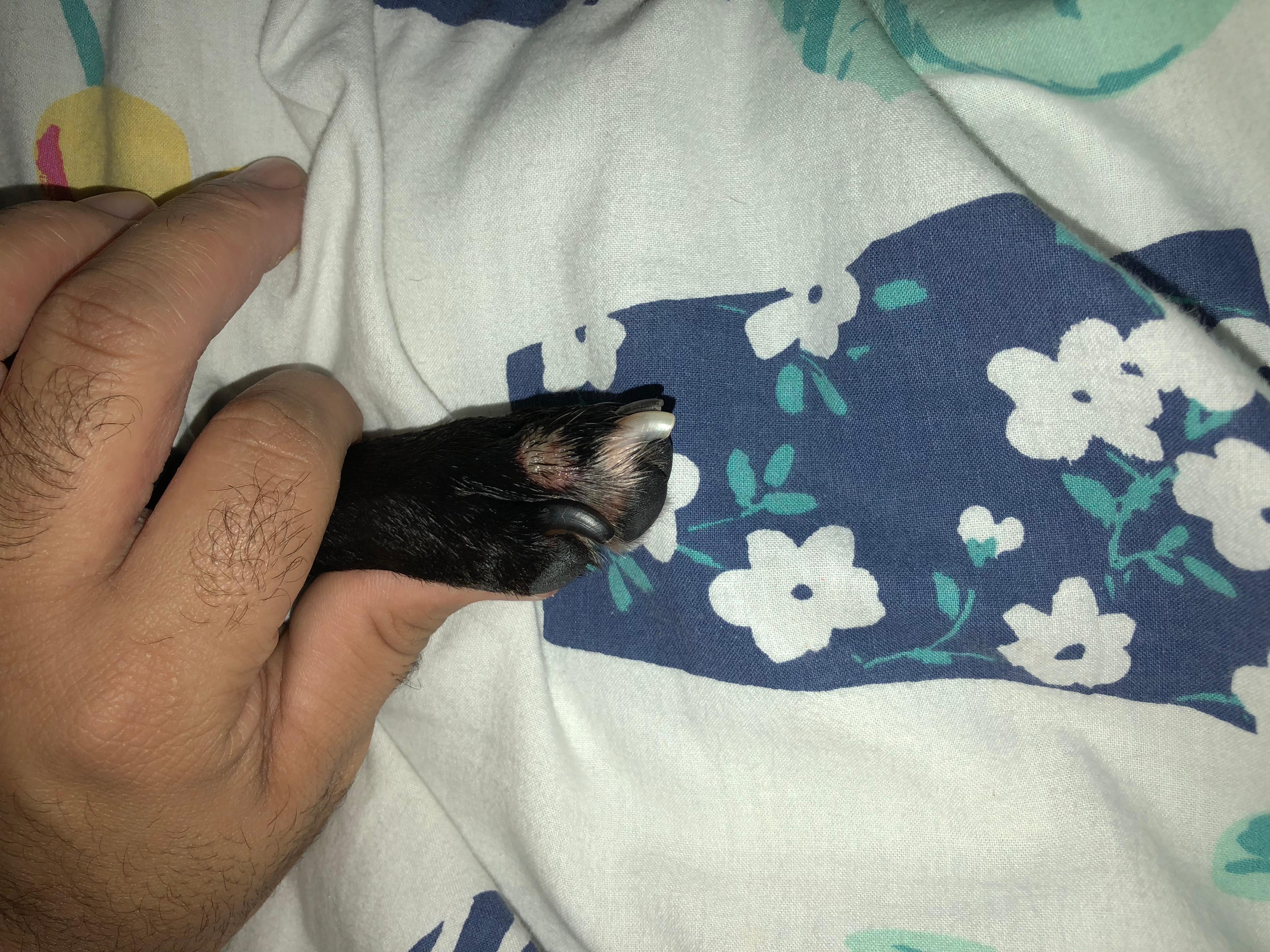 Question details sensitive content