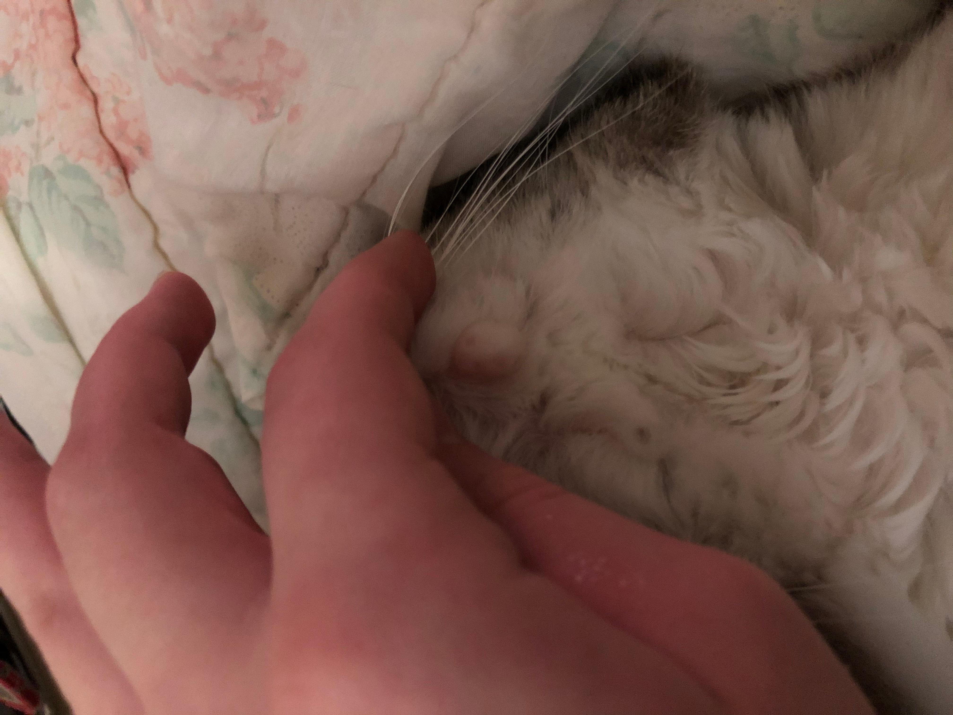 Question details sensitive content