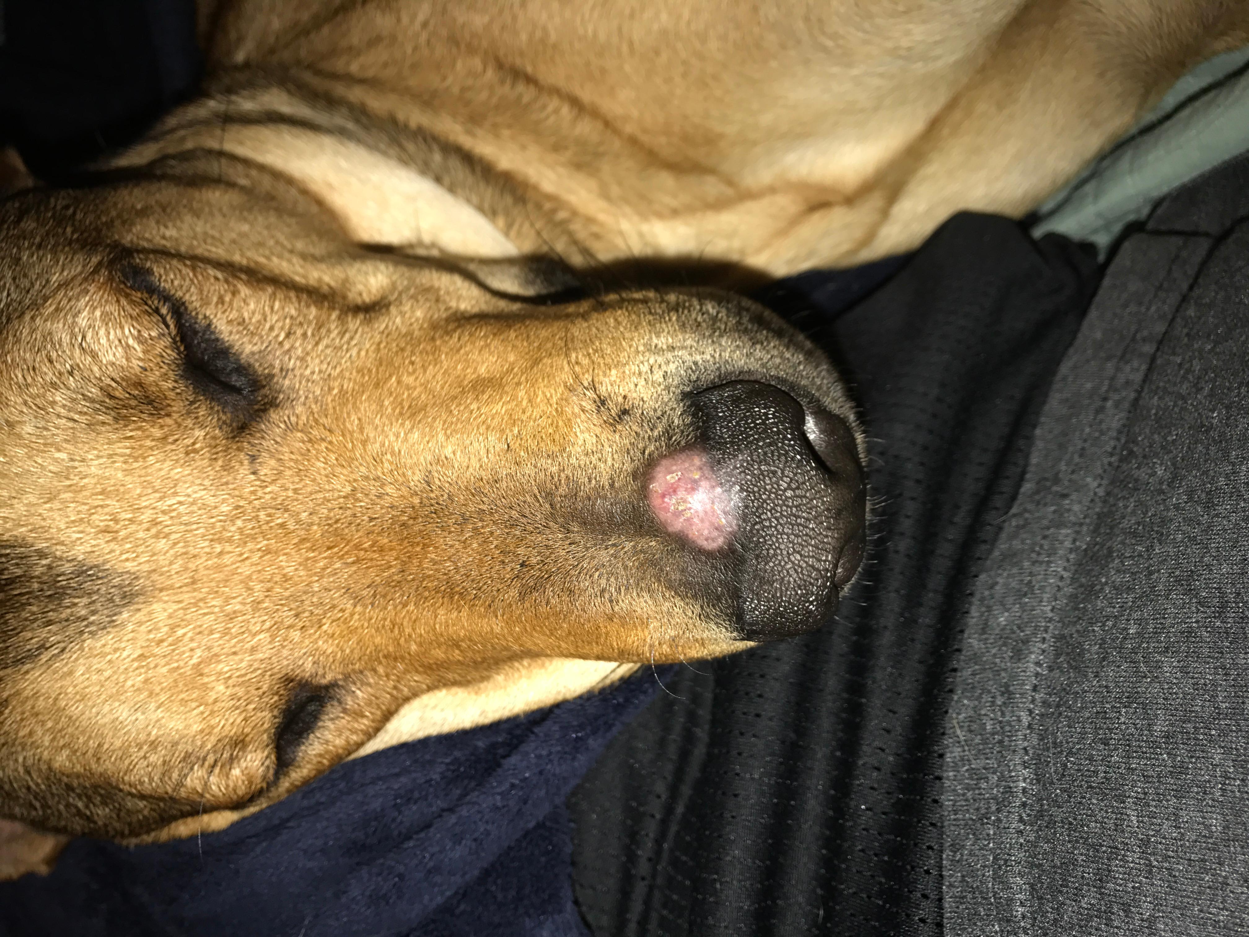 Question details sensitive content