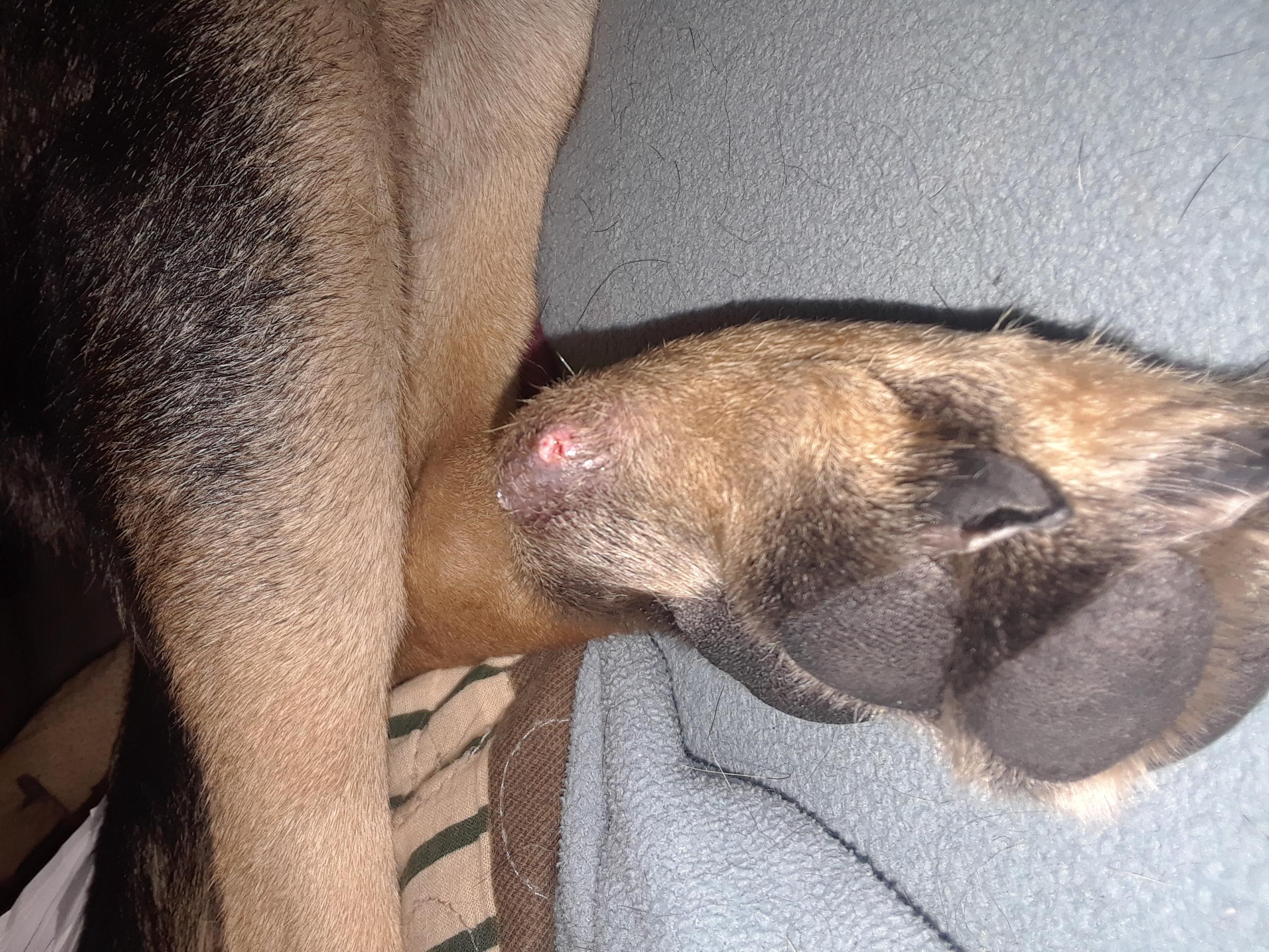 Question details sensitive content