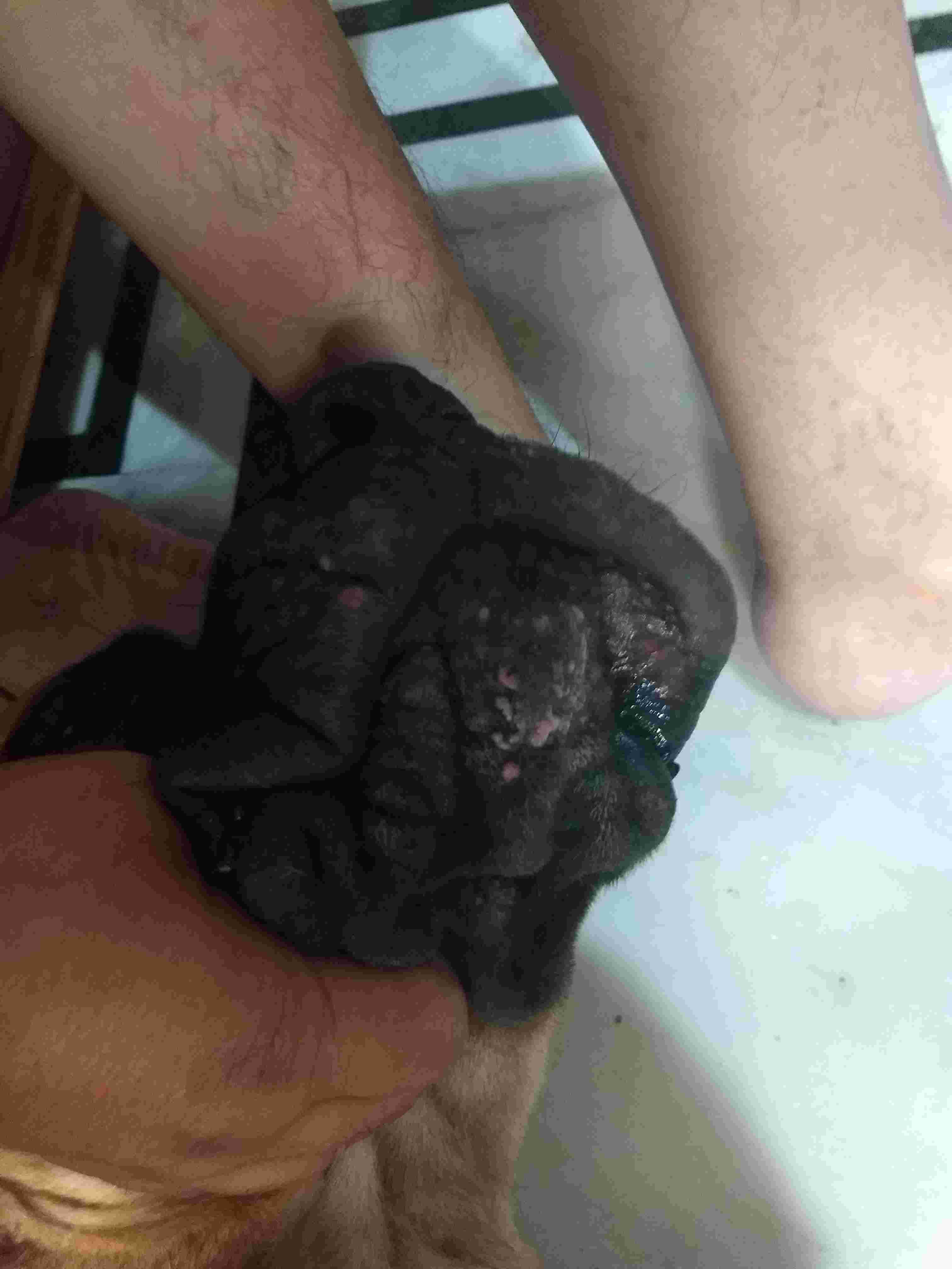 Question details sensitive content