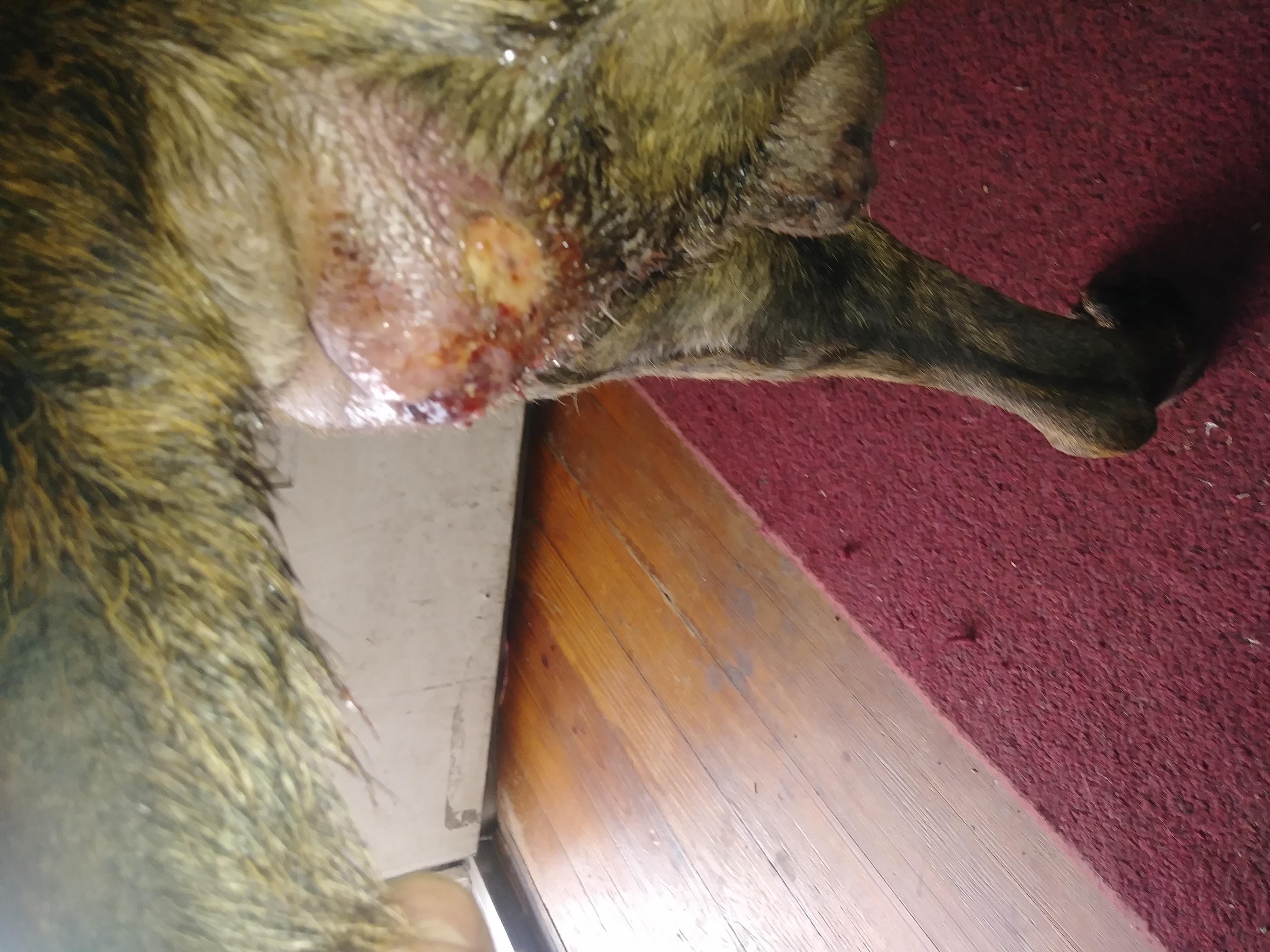 Question details sensitive content