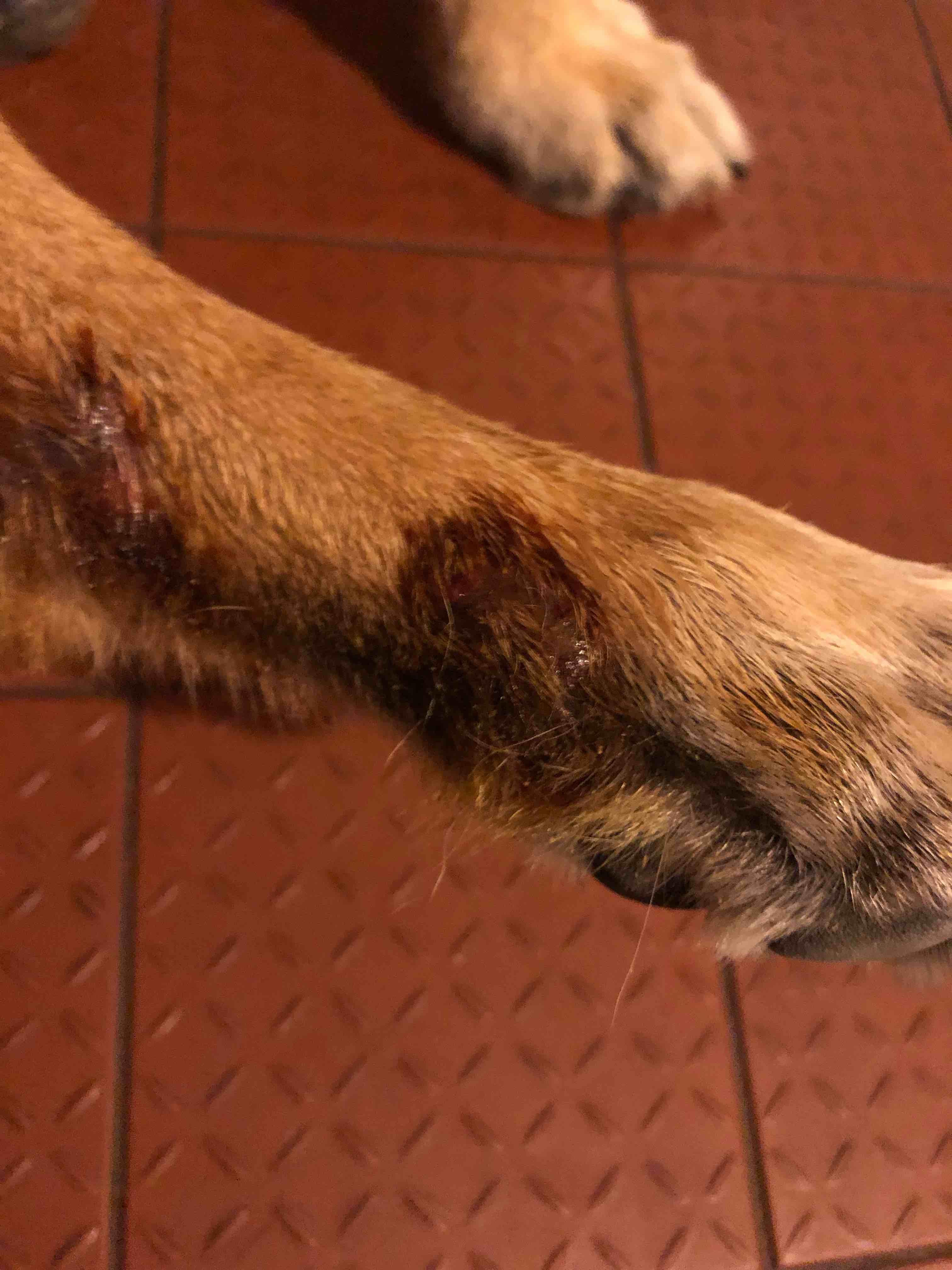 Question details sensitive content