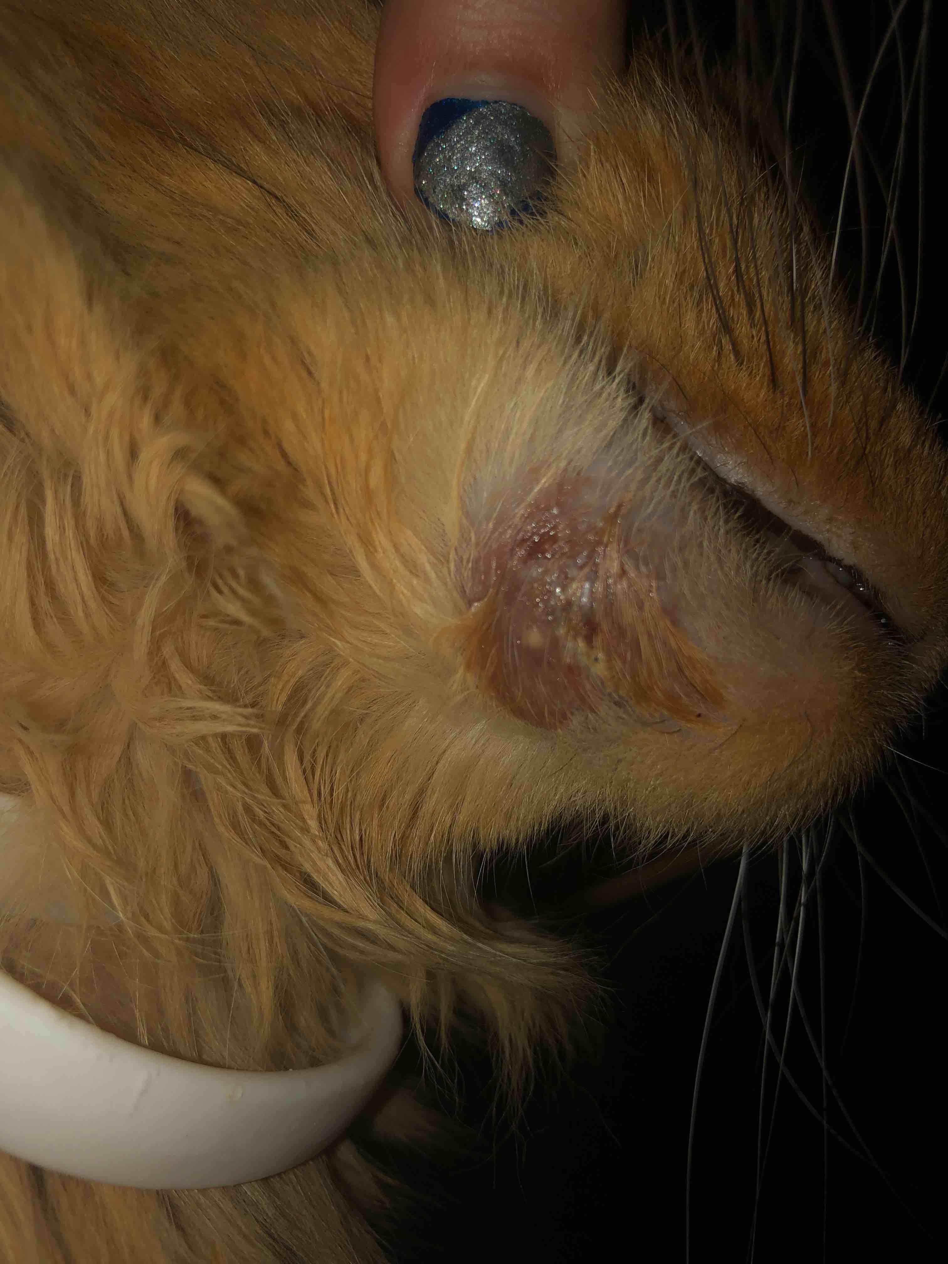 Question details sensitive content