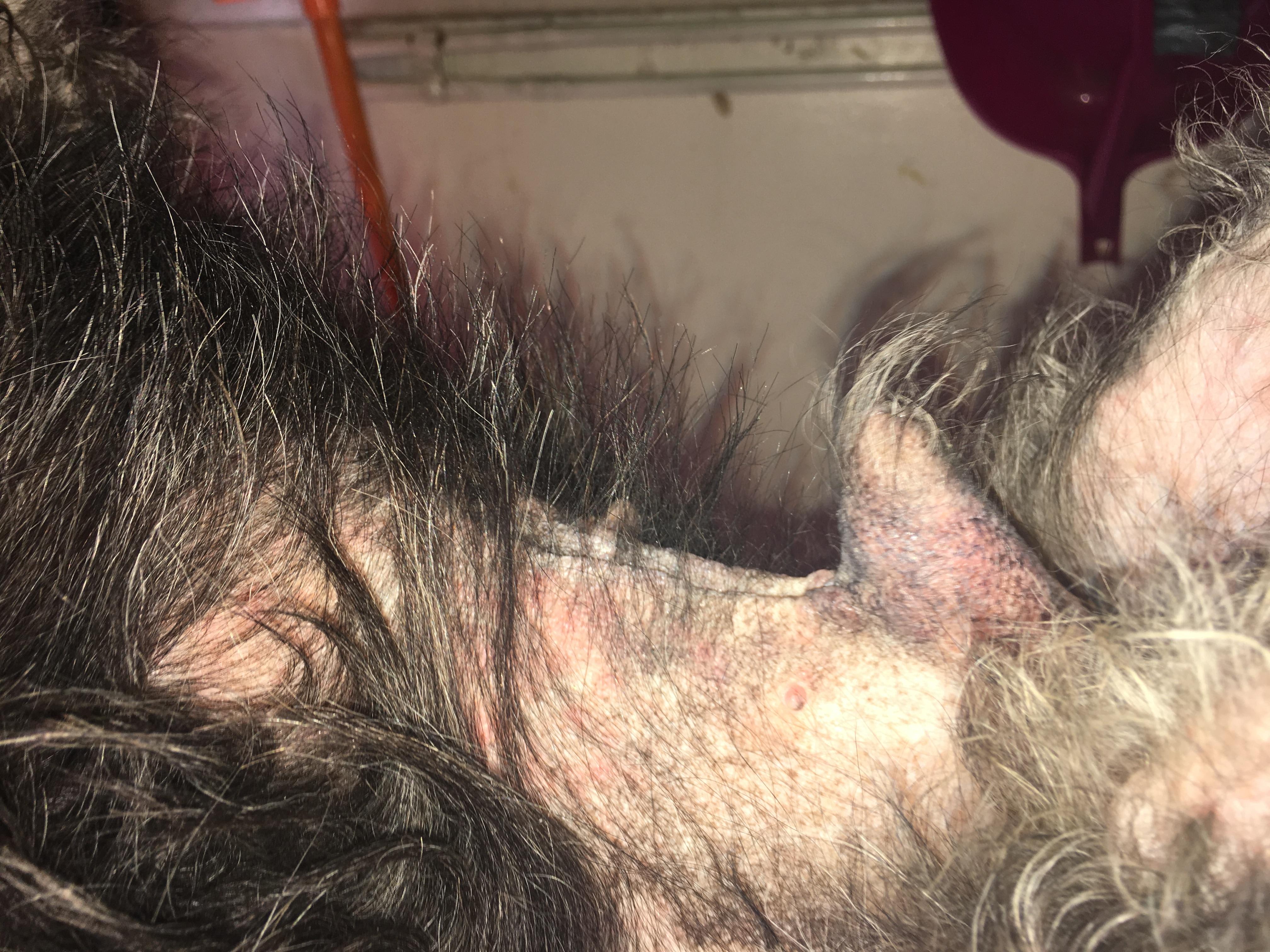 Question details sensitive content