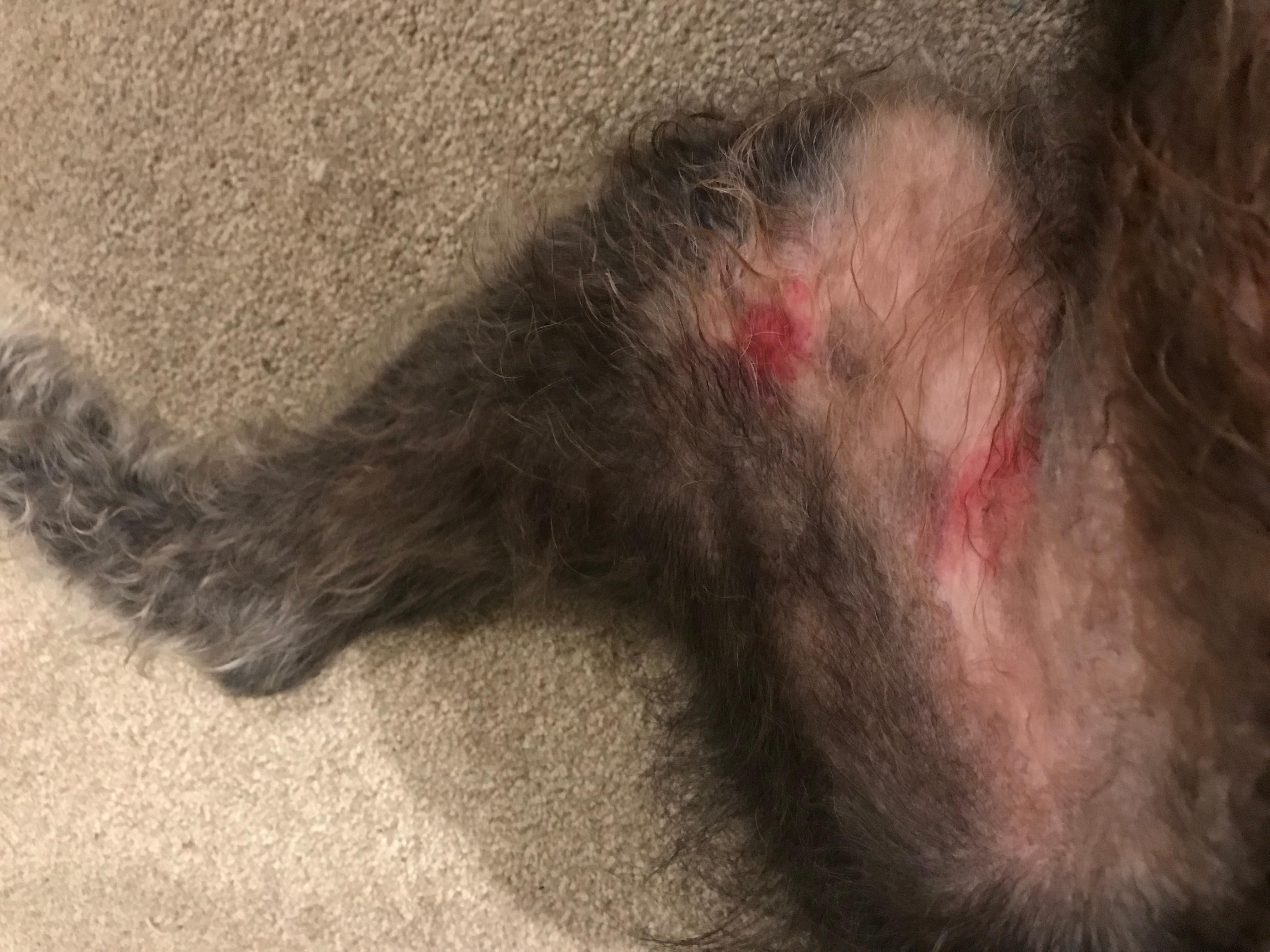 Question details sensitive content