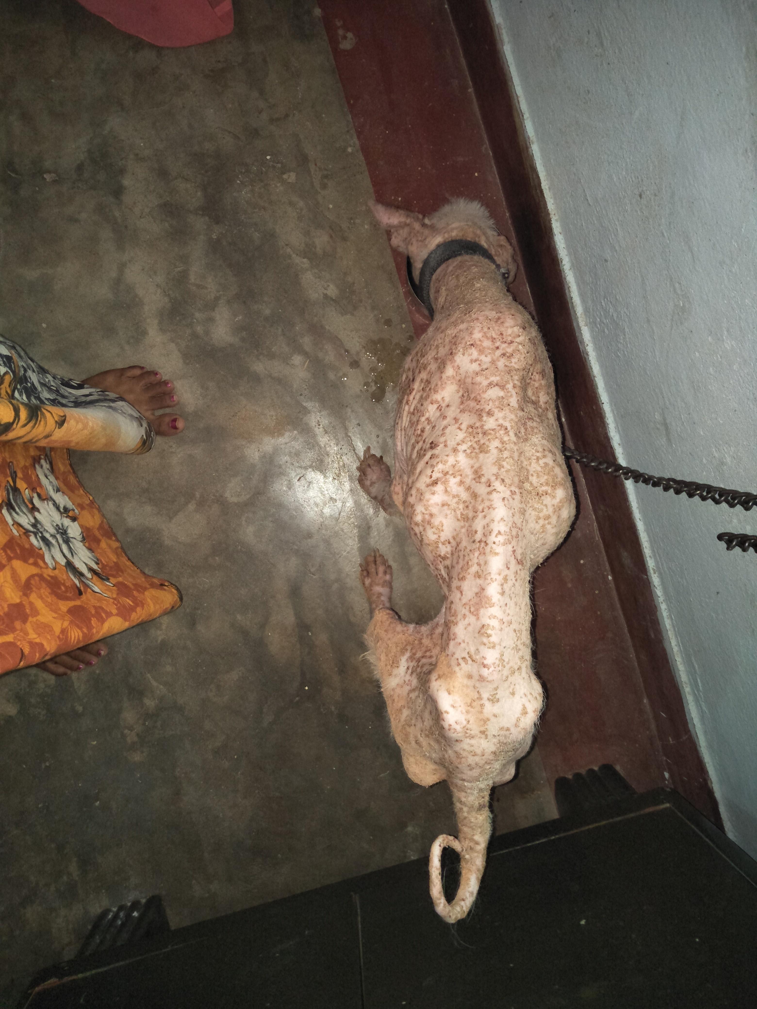 Question details sensitive content