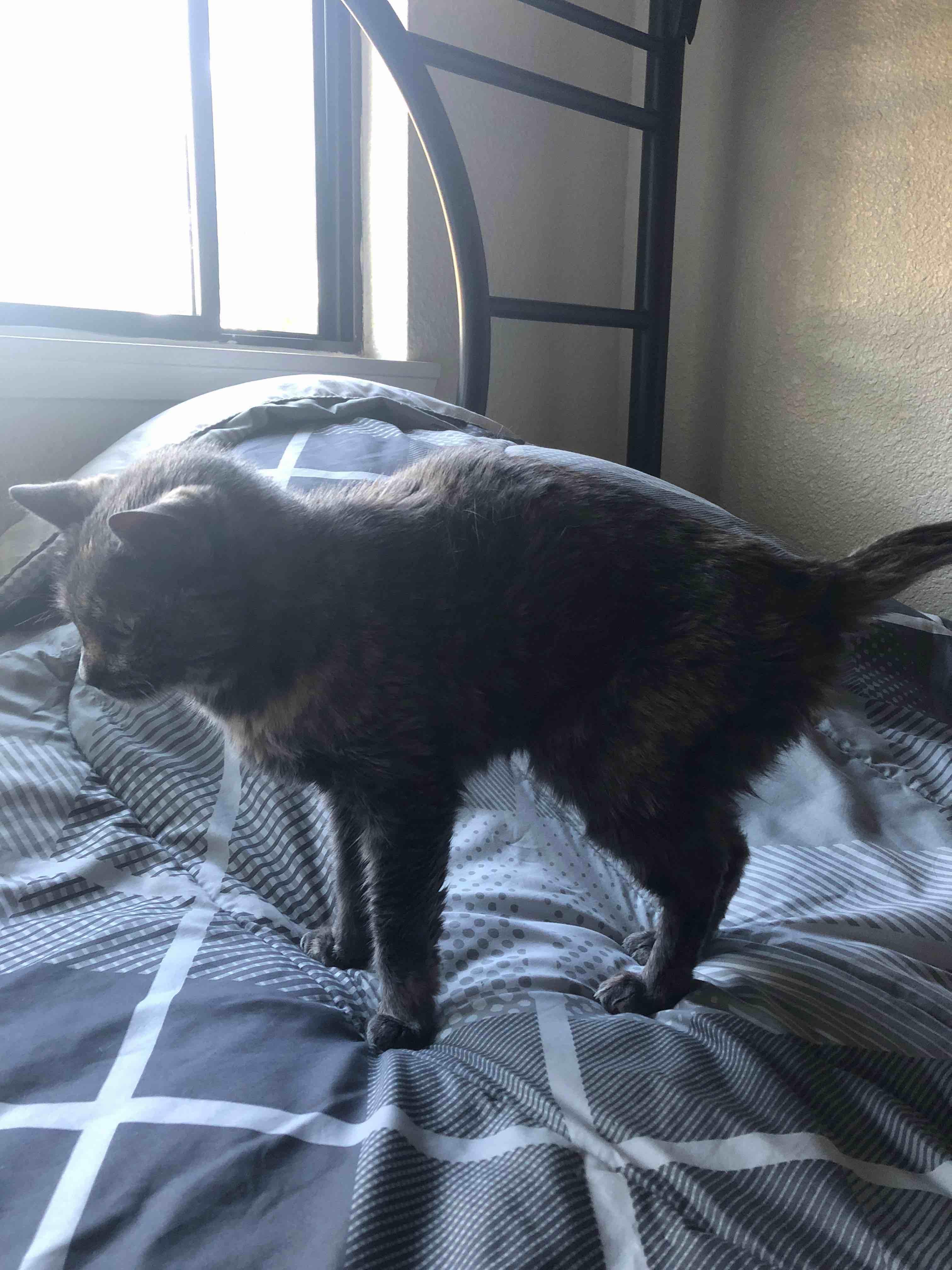 Question details sensitive content