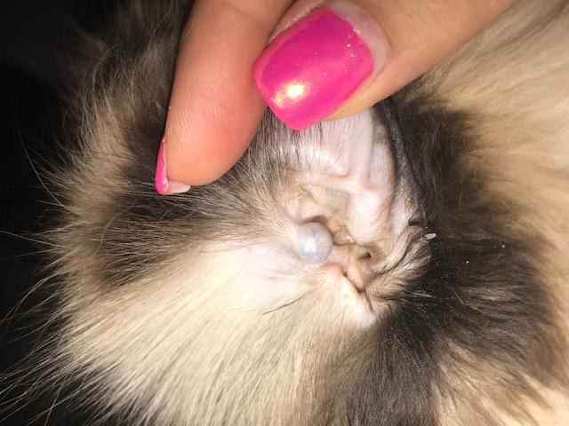 Question details sensitive content