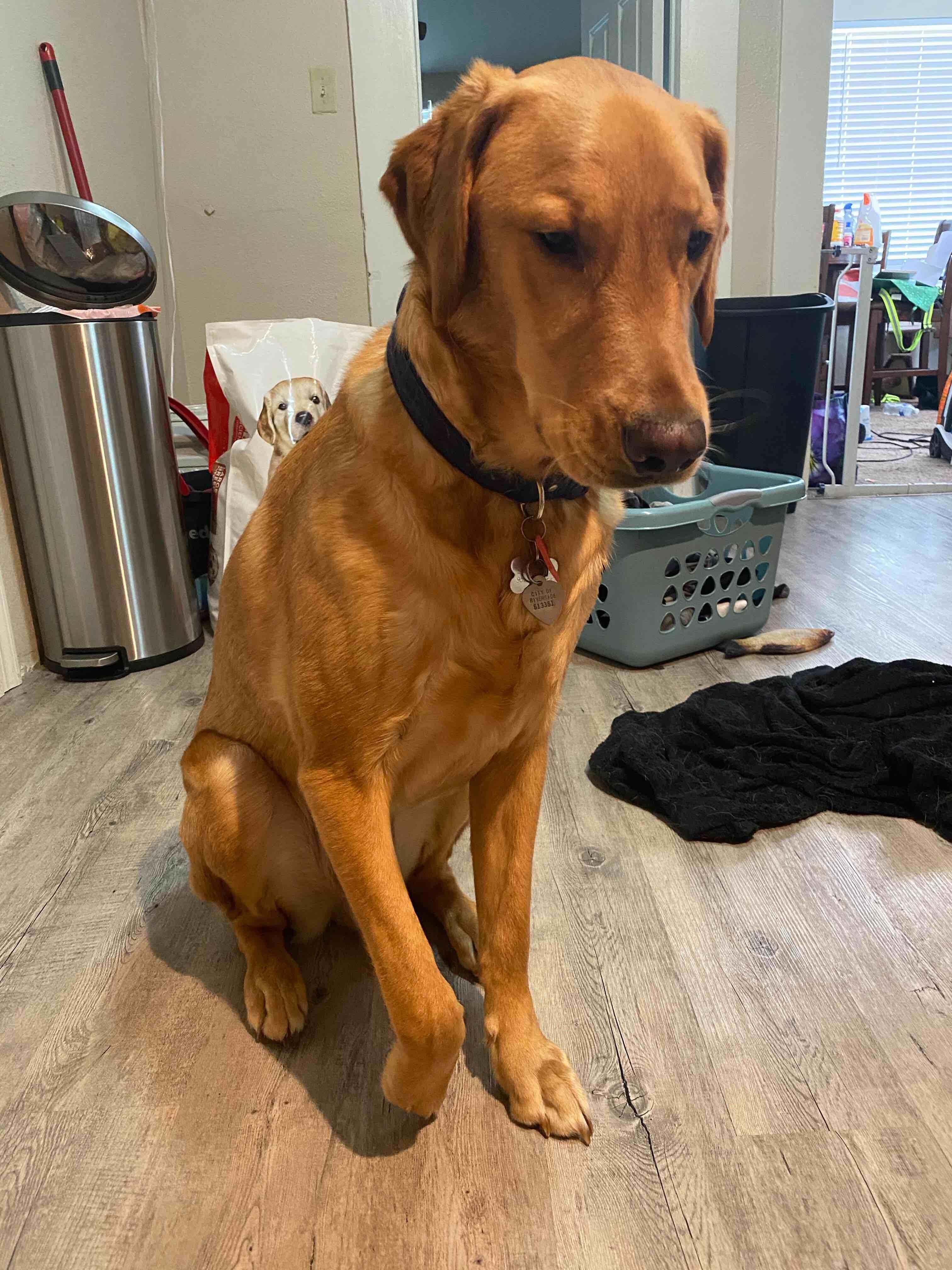 Question details sensitive content