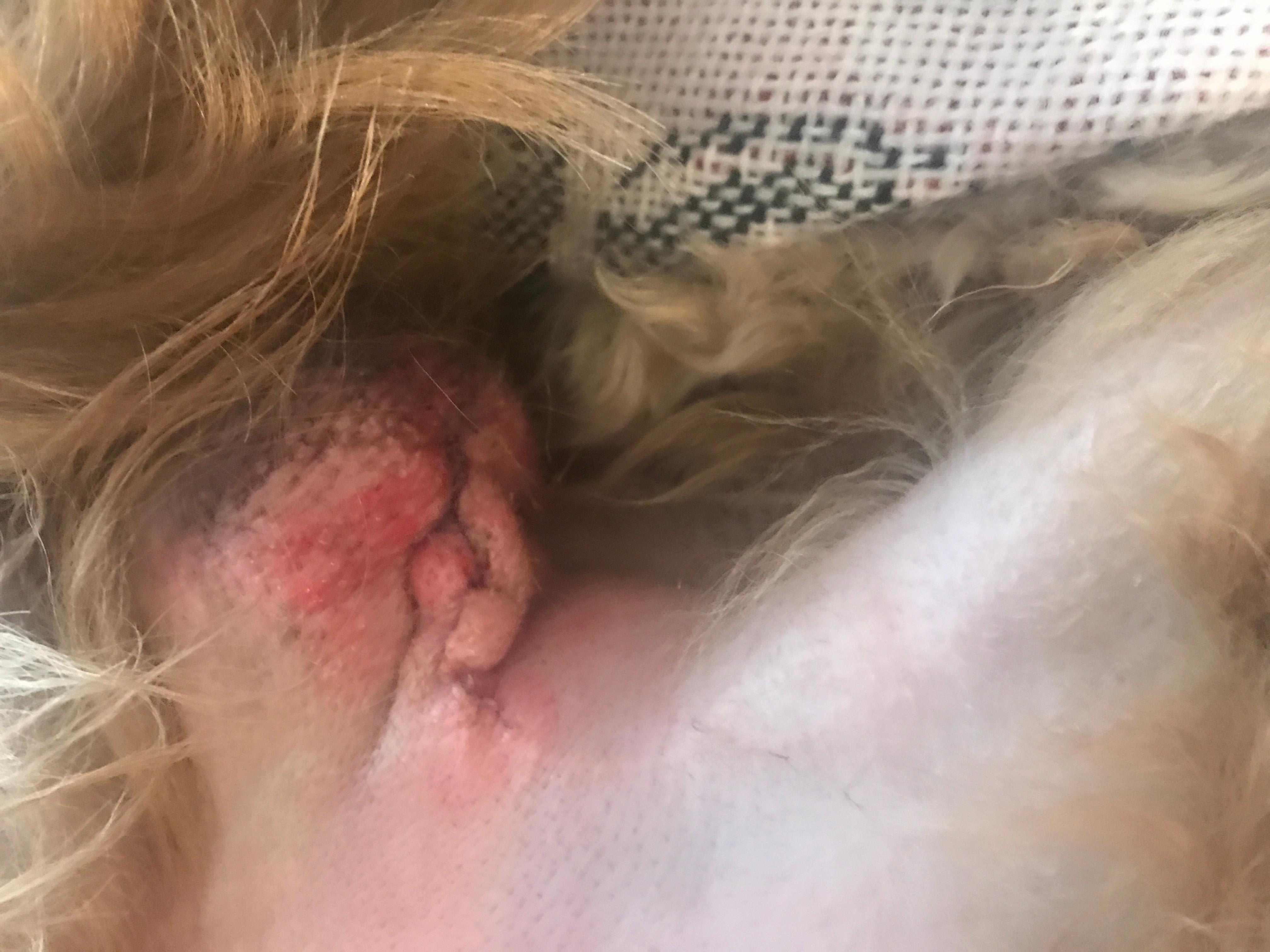 Question details sensitive content