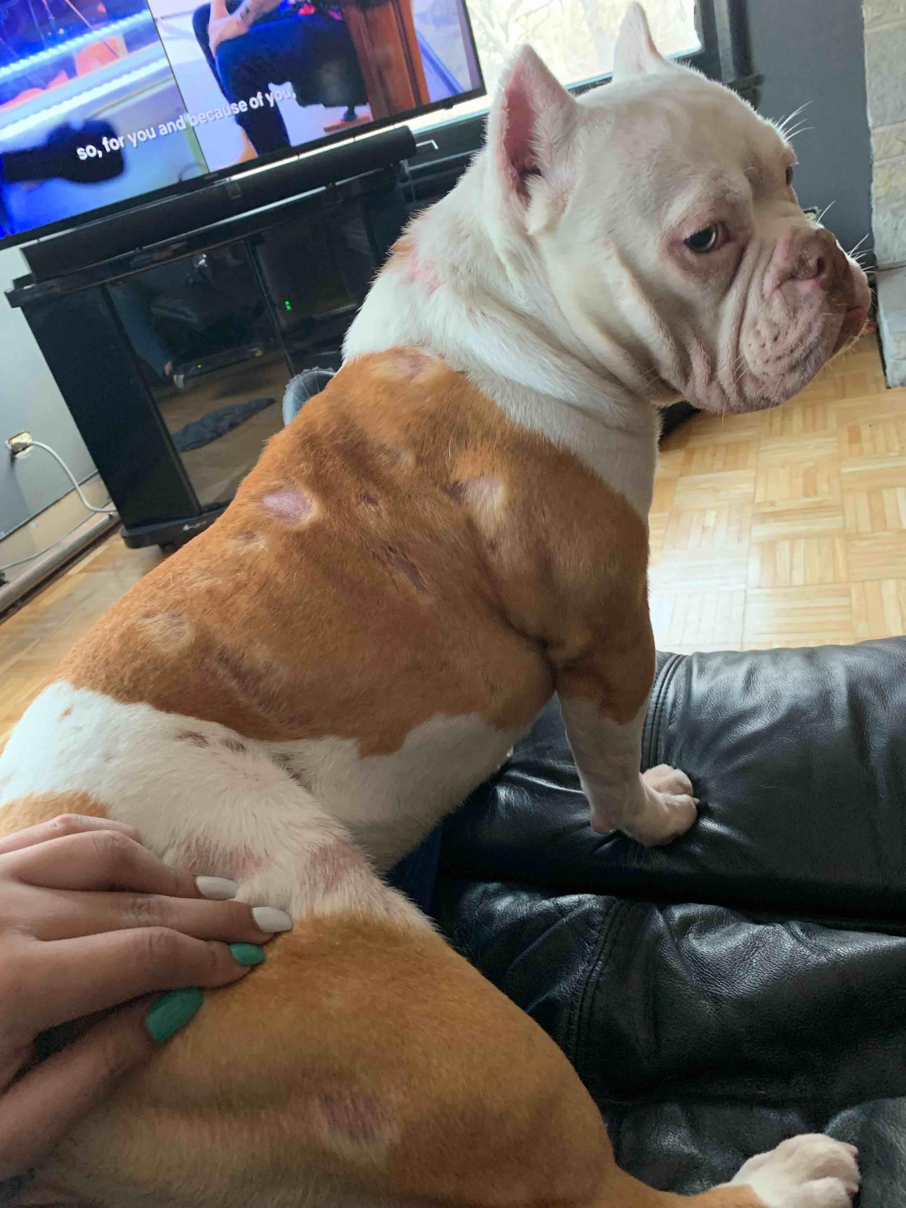 Question details sensitive content