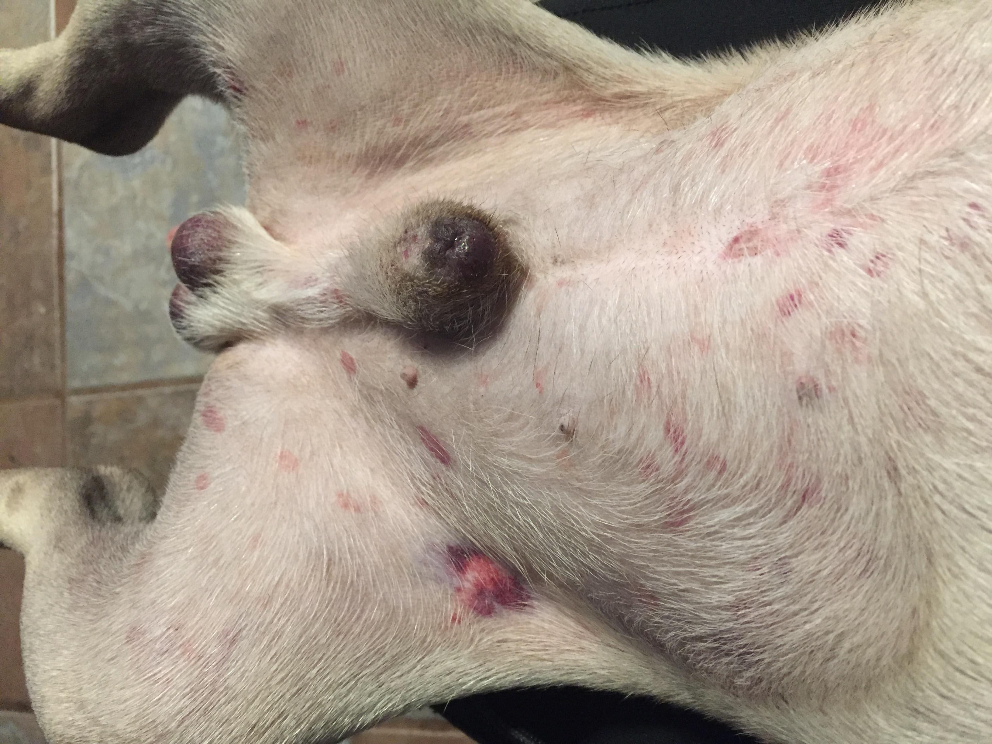 Question details sensitive content