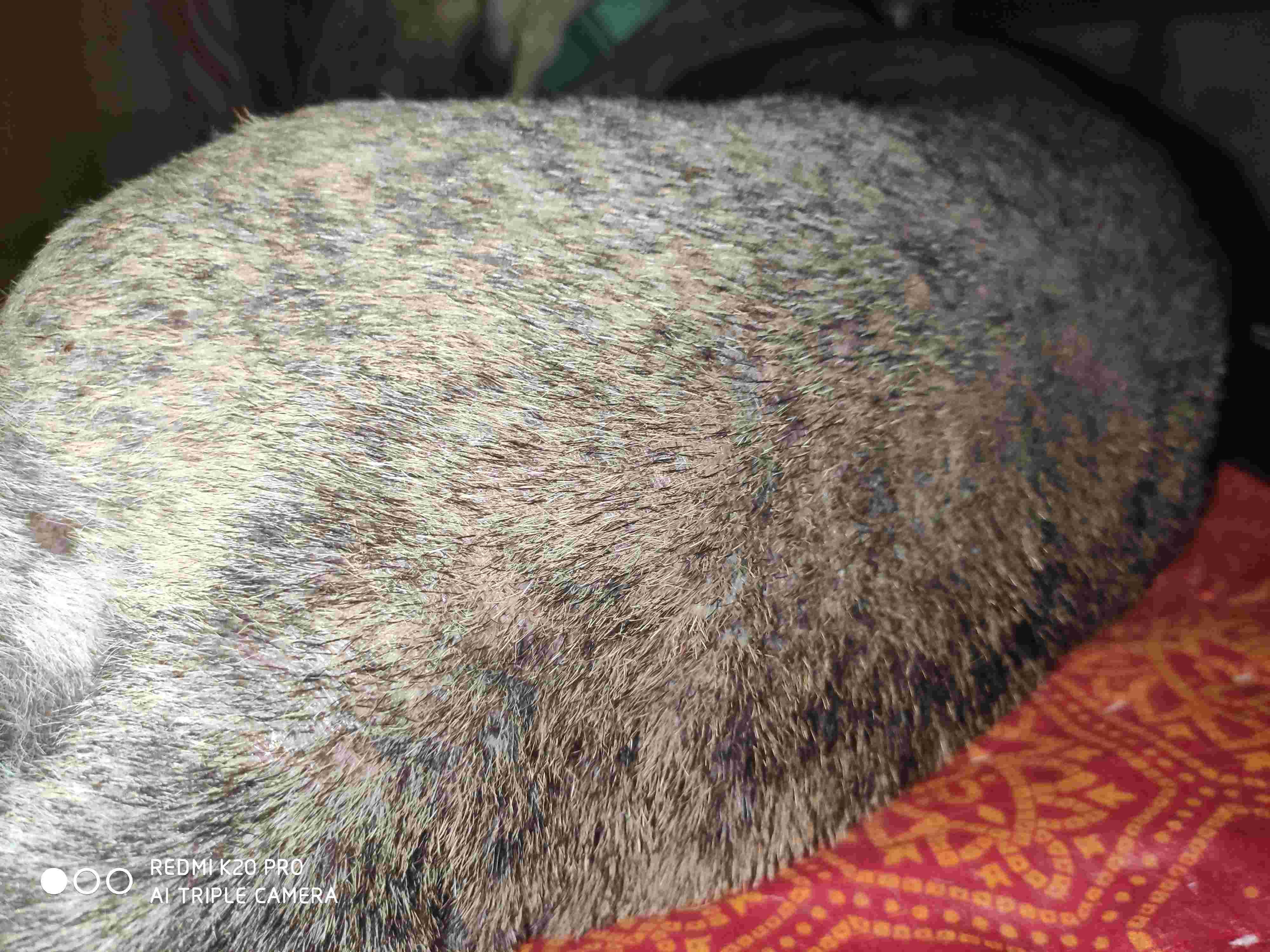 Question details sensitive content