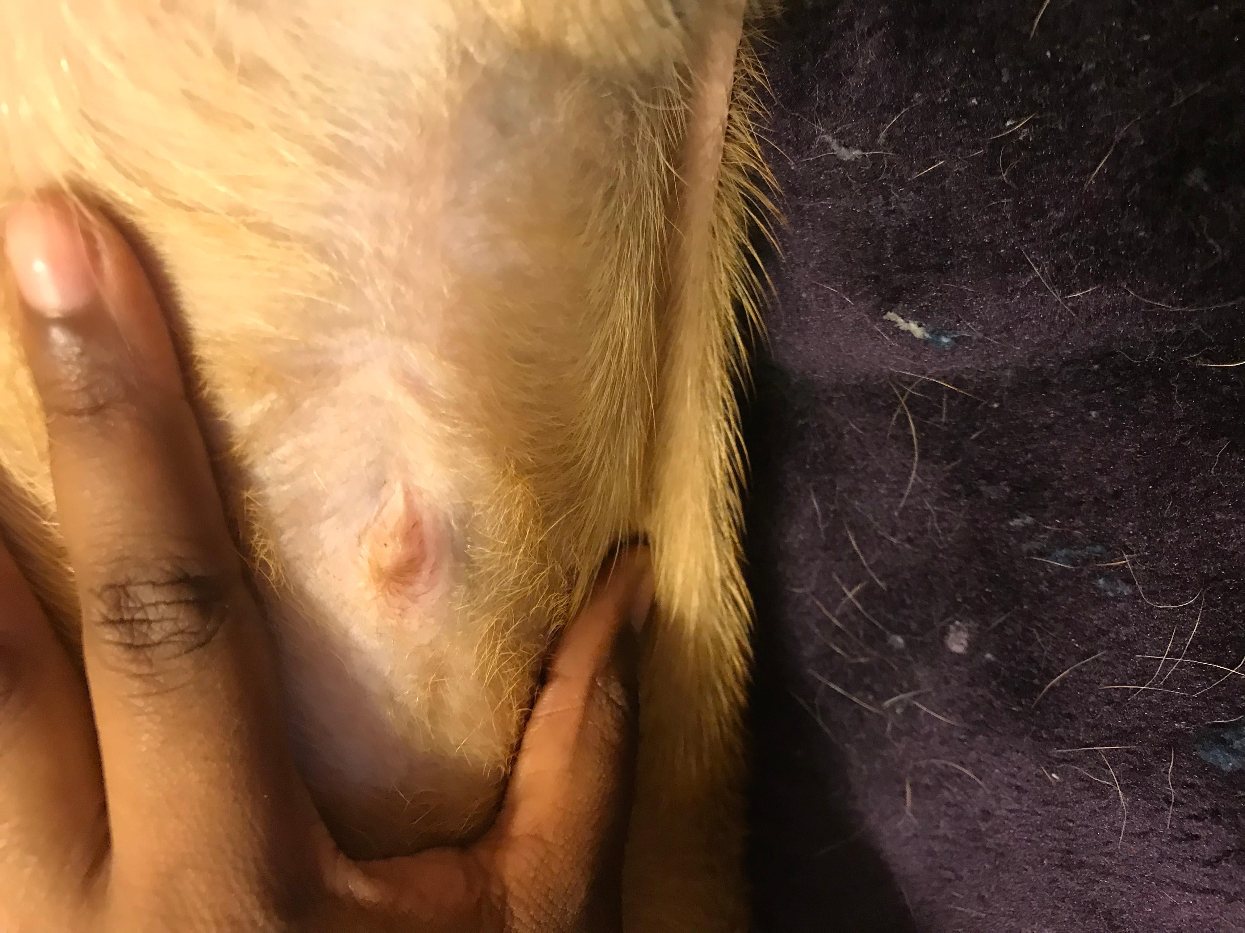 Question details sensitive content