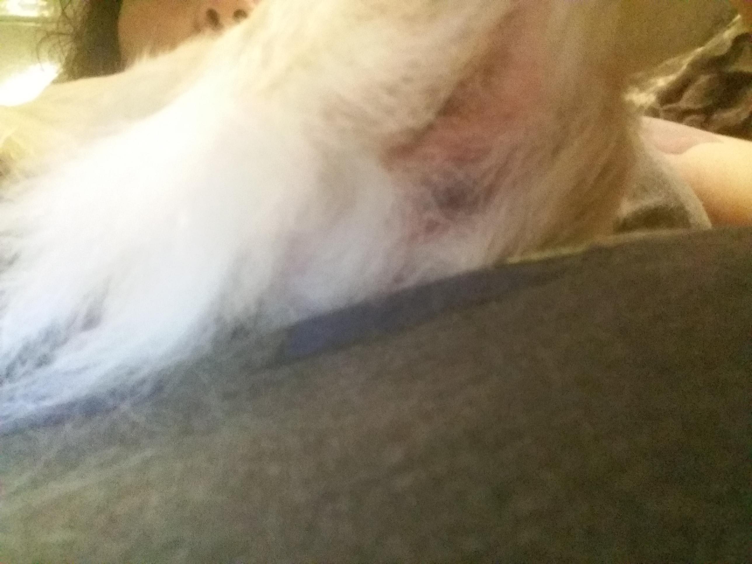 Question details sensitive content