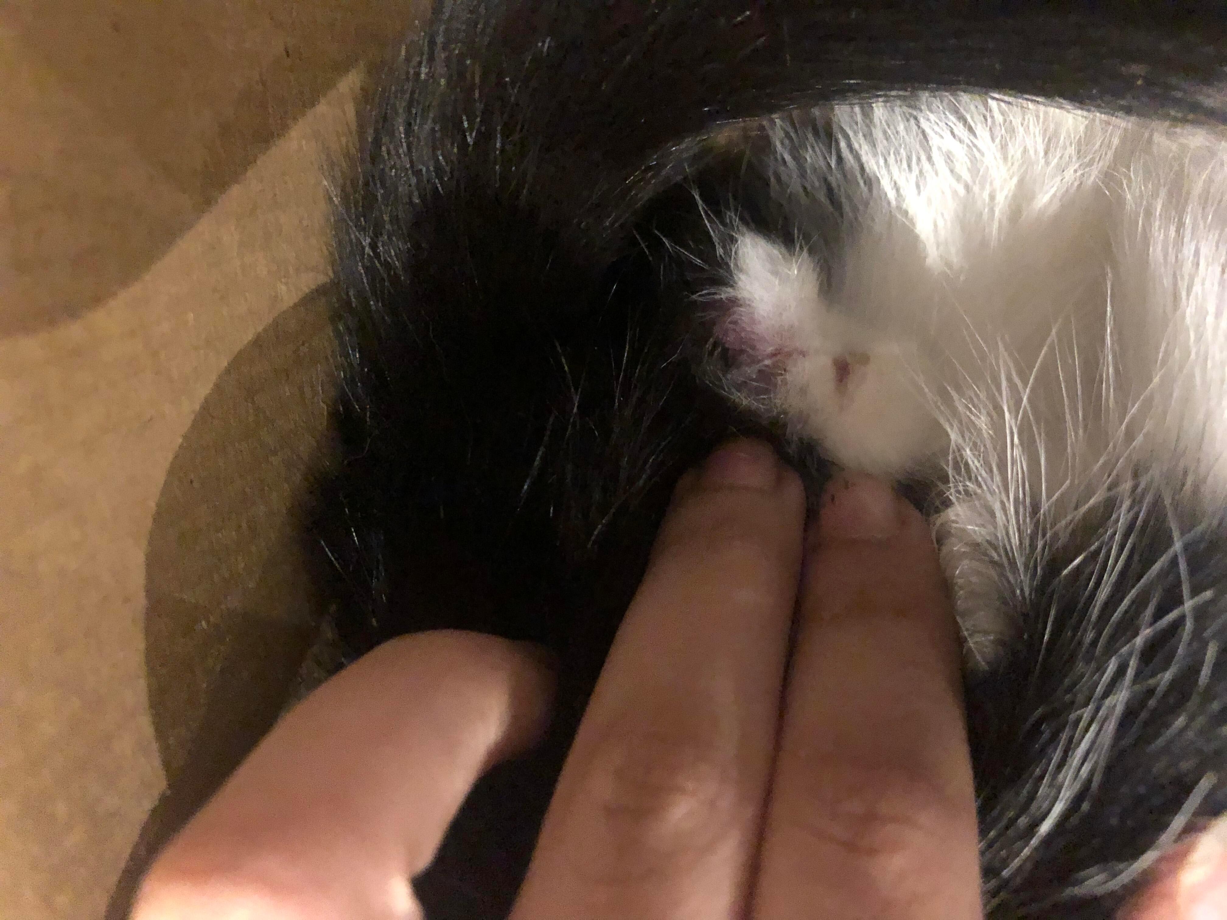 Question details sensitive content