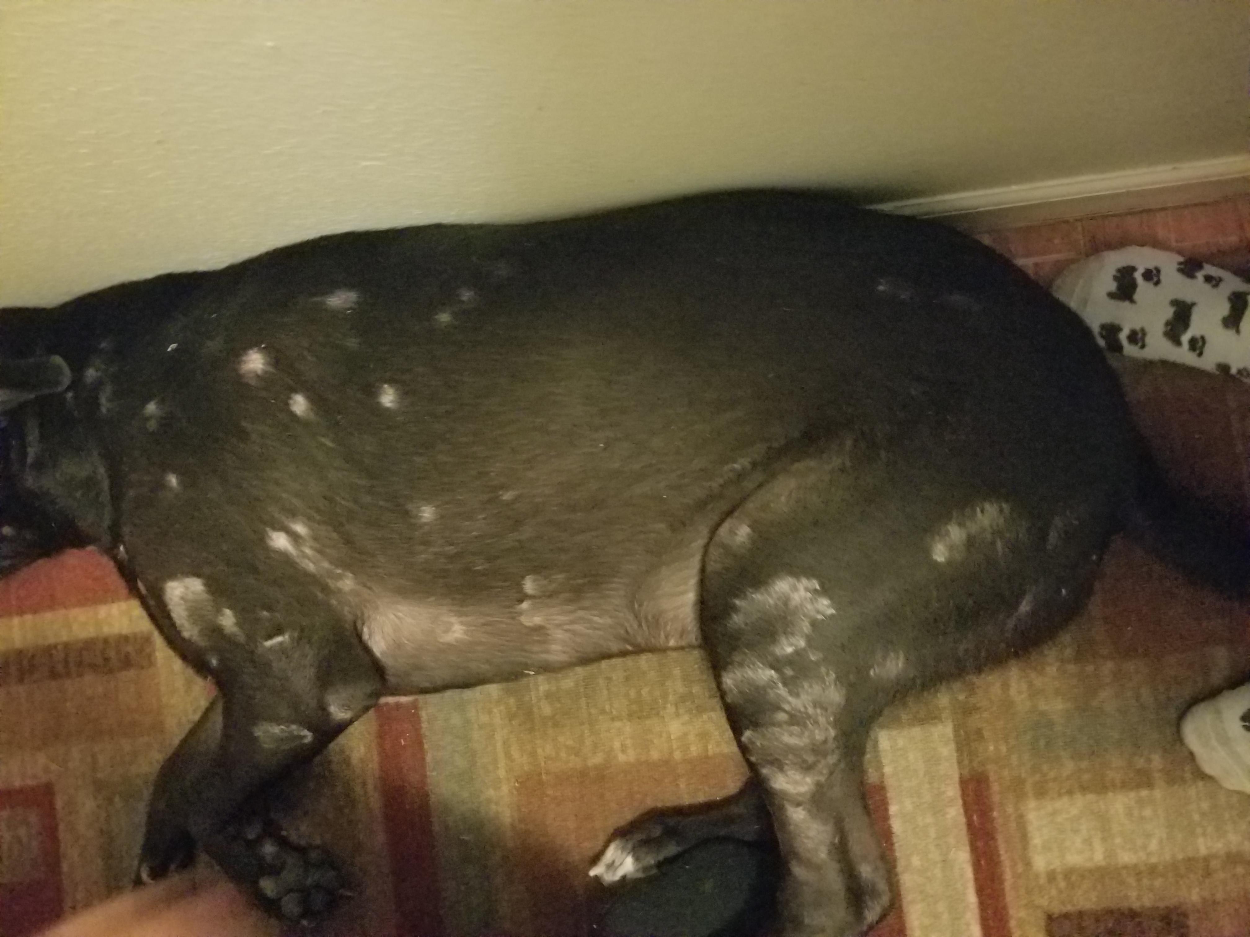 Question details sensitive content