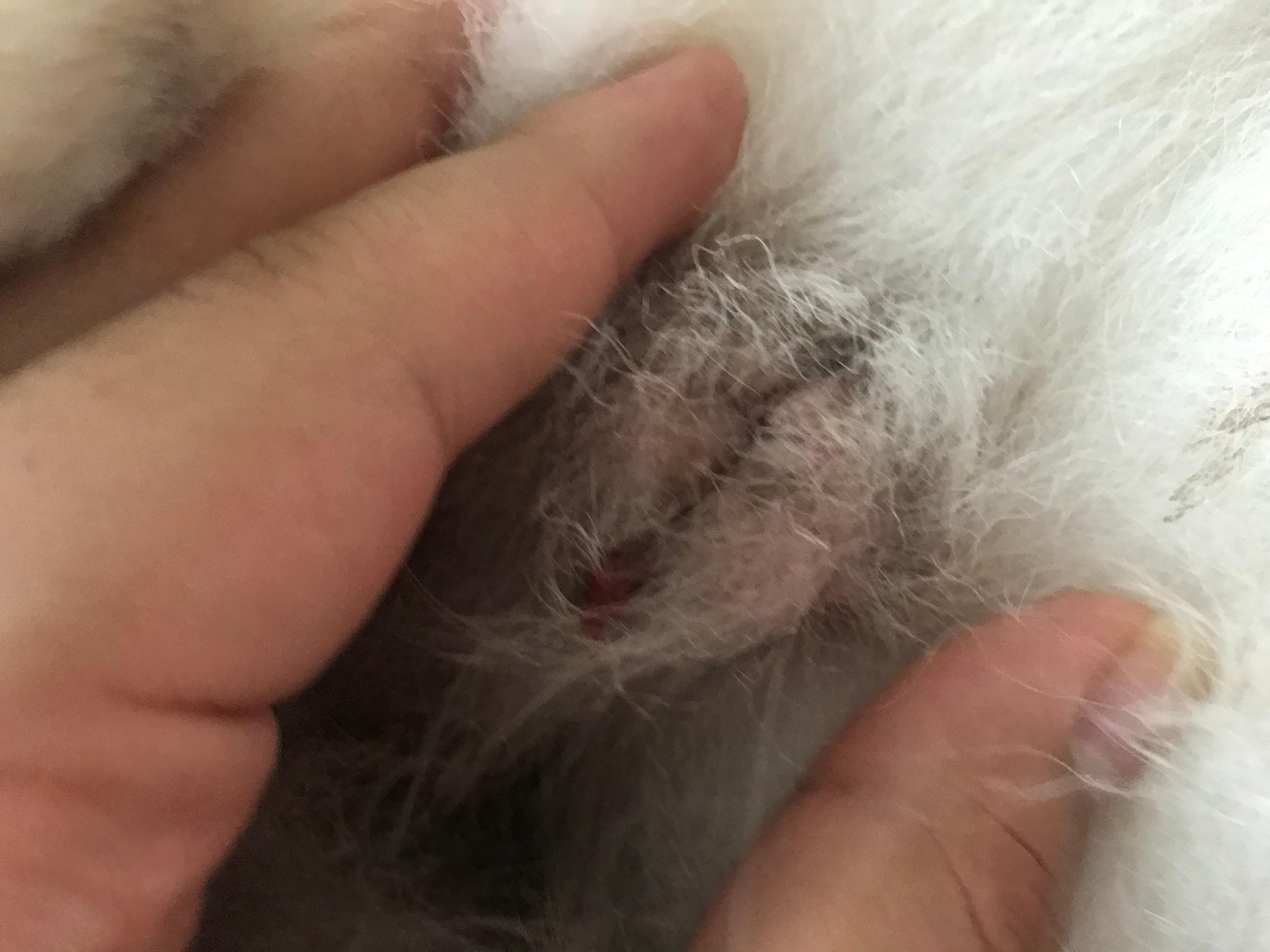 Question details sensitive content