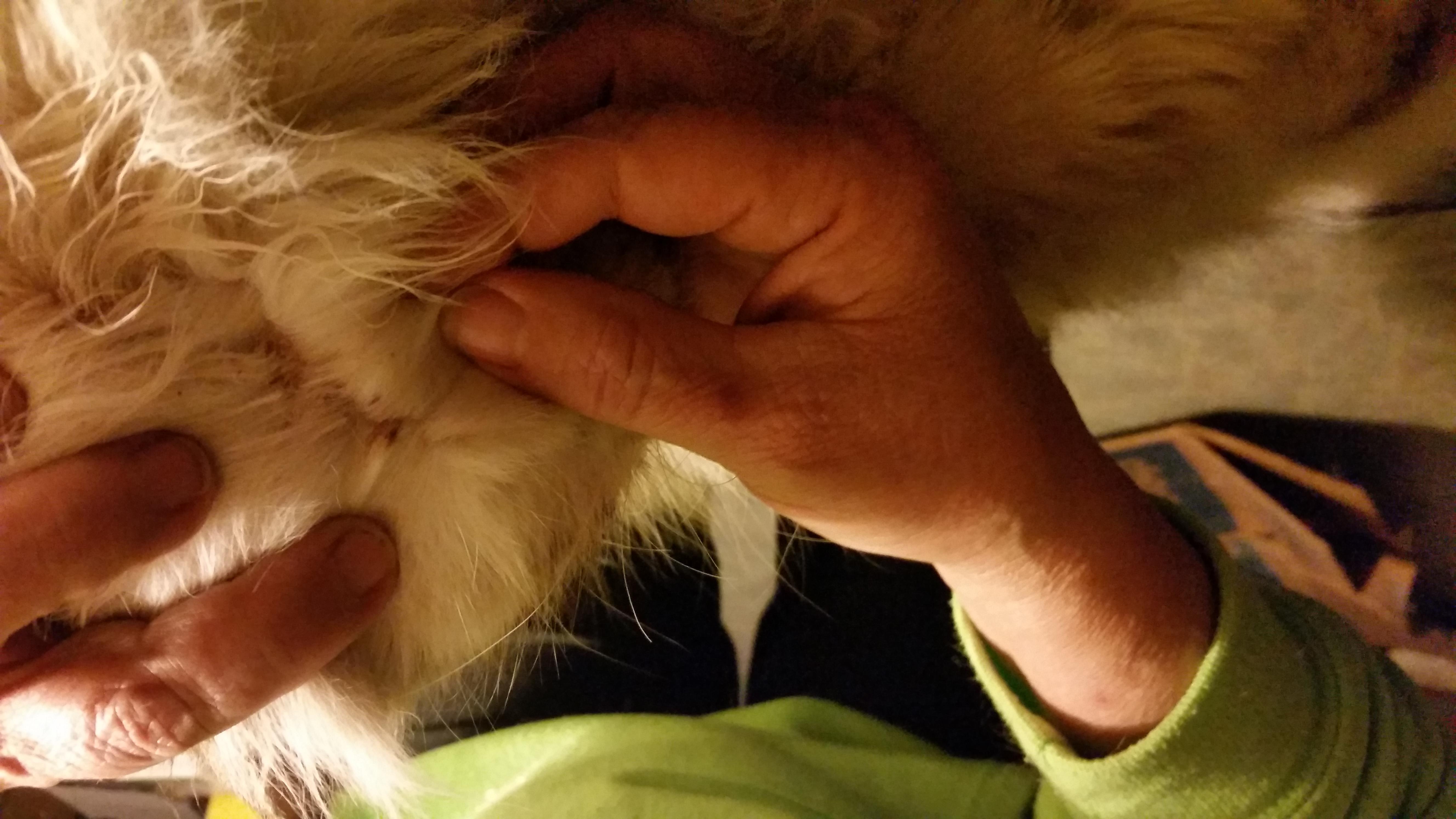 Question details sensitive content