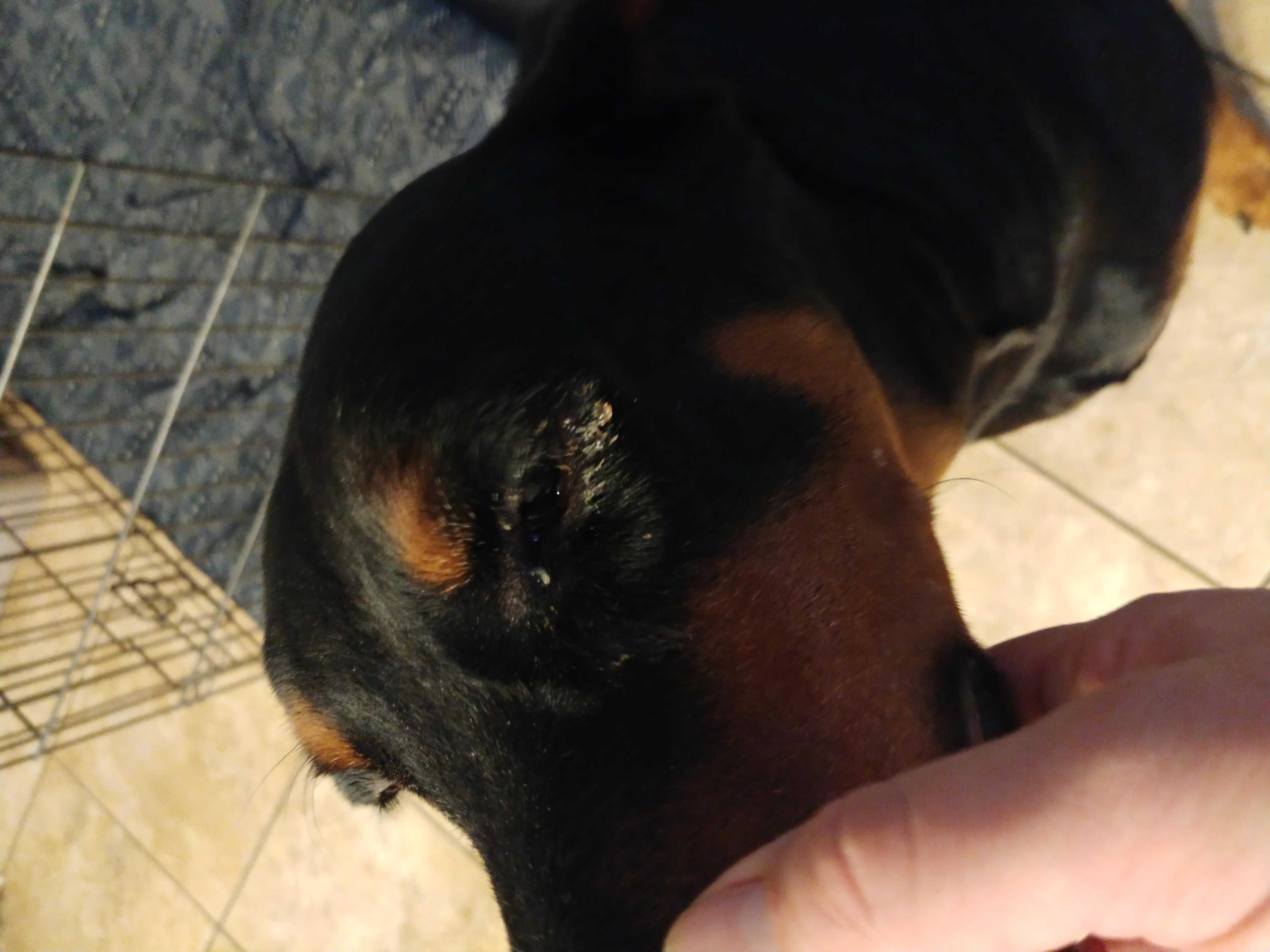 Question details sensitive content