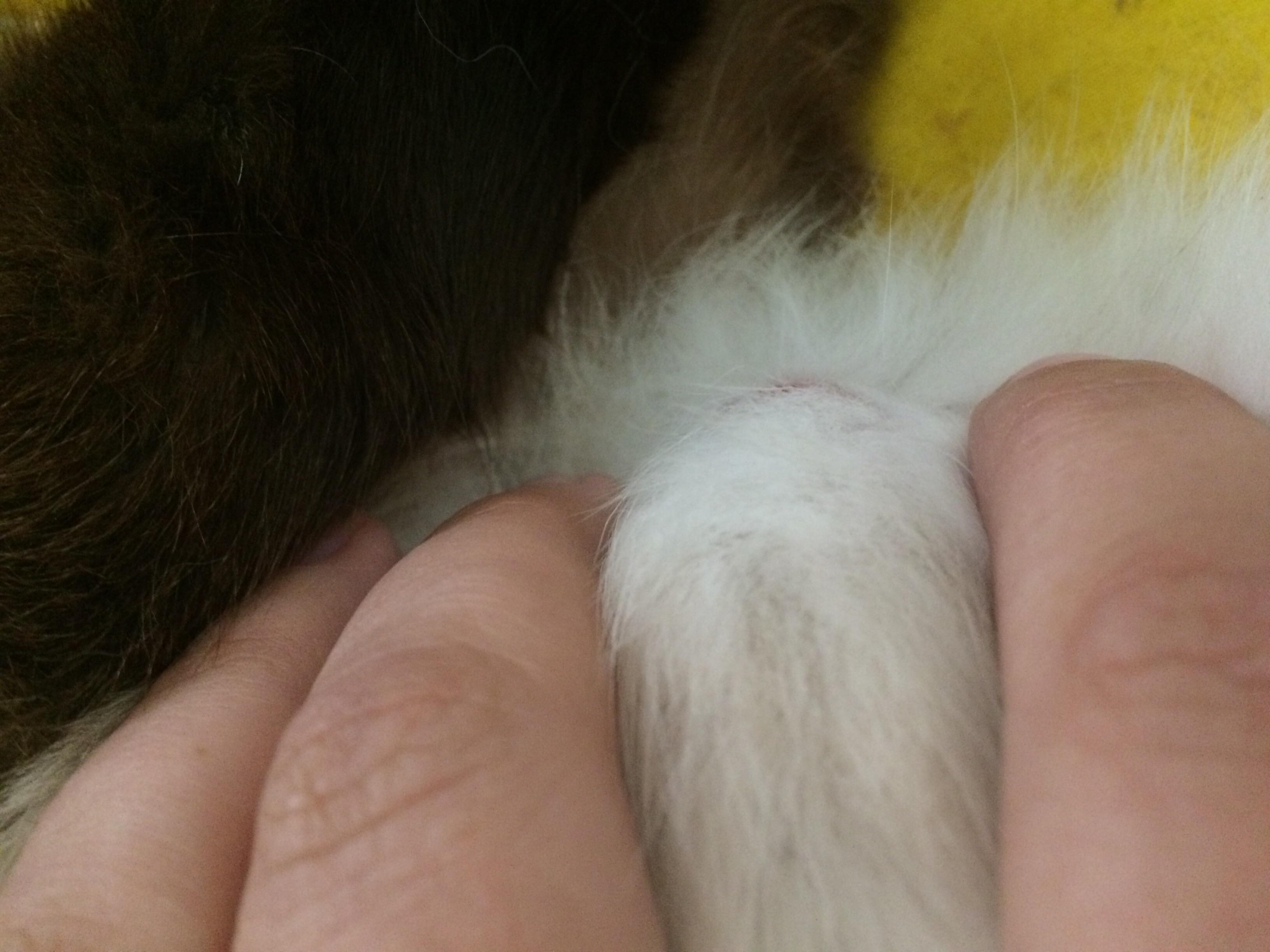 Question details sensitive content