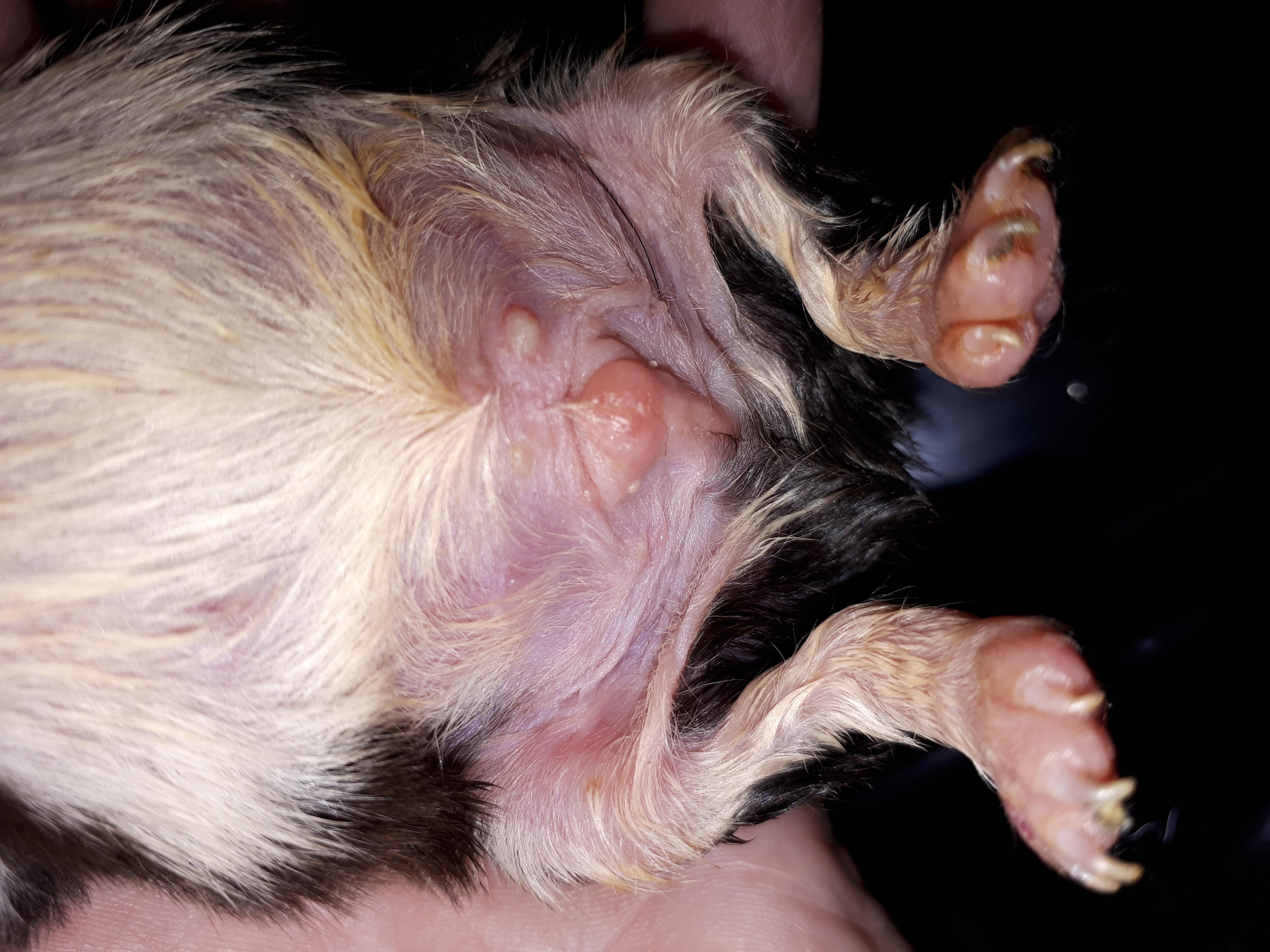 Question details sensitive content