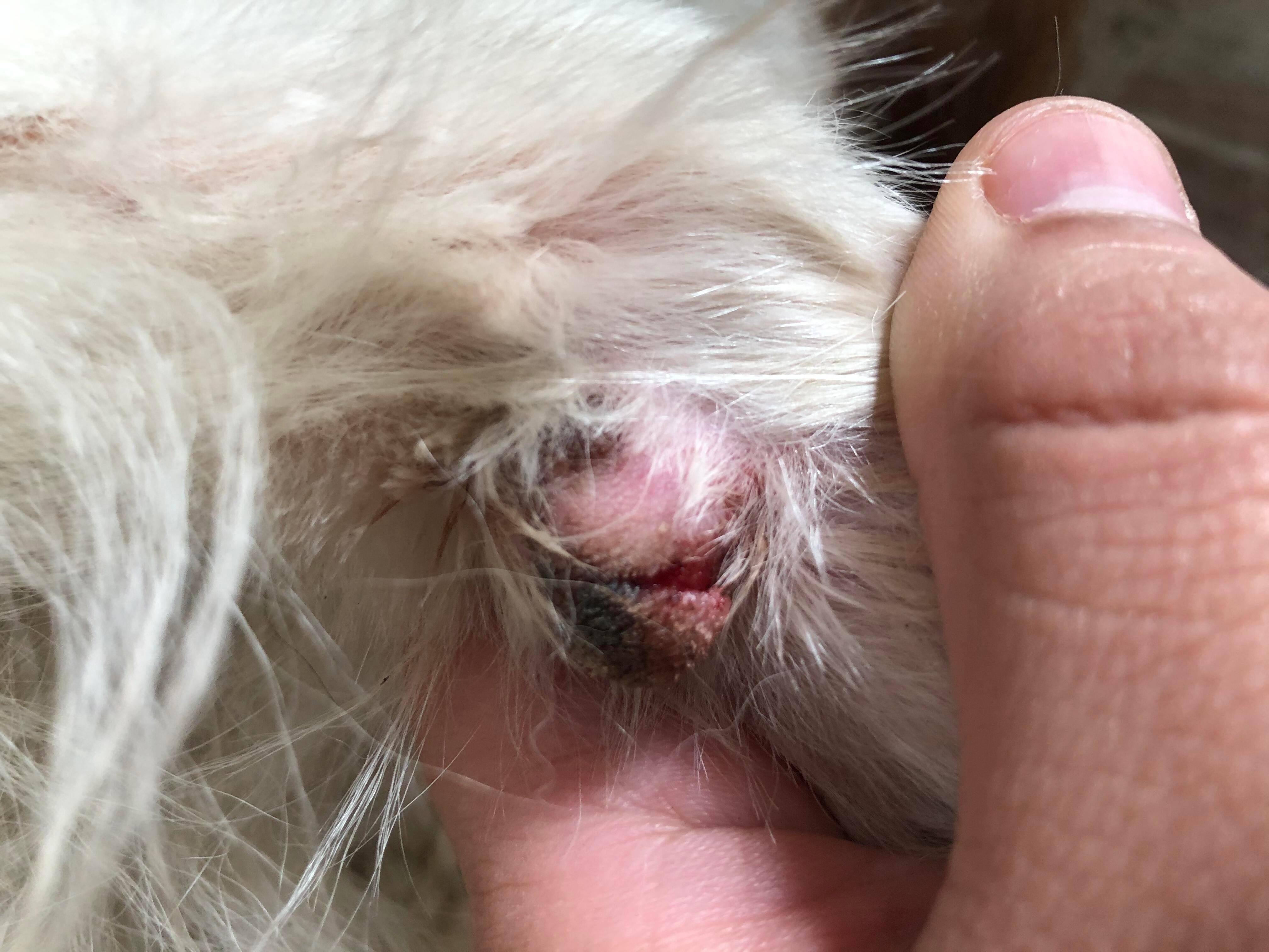 Question details sensitive content