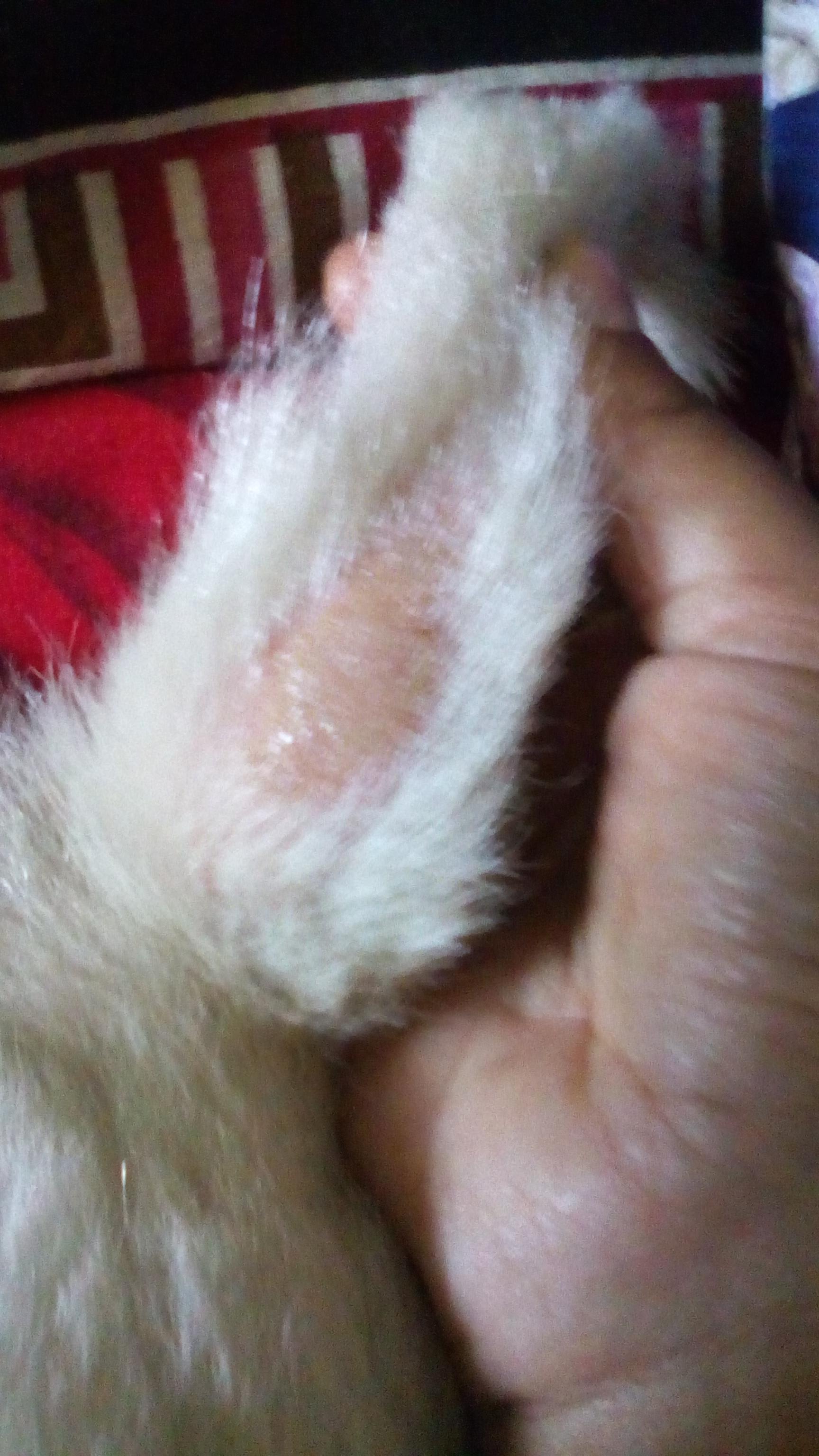 Question details sensitive content