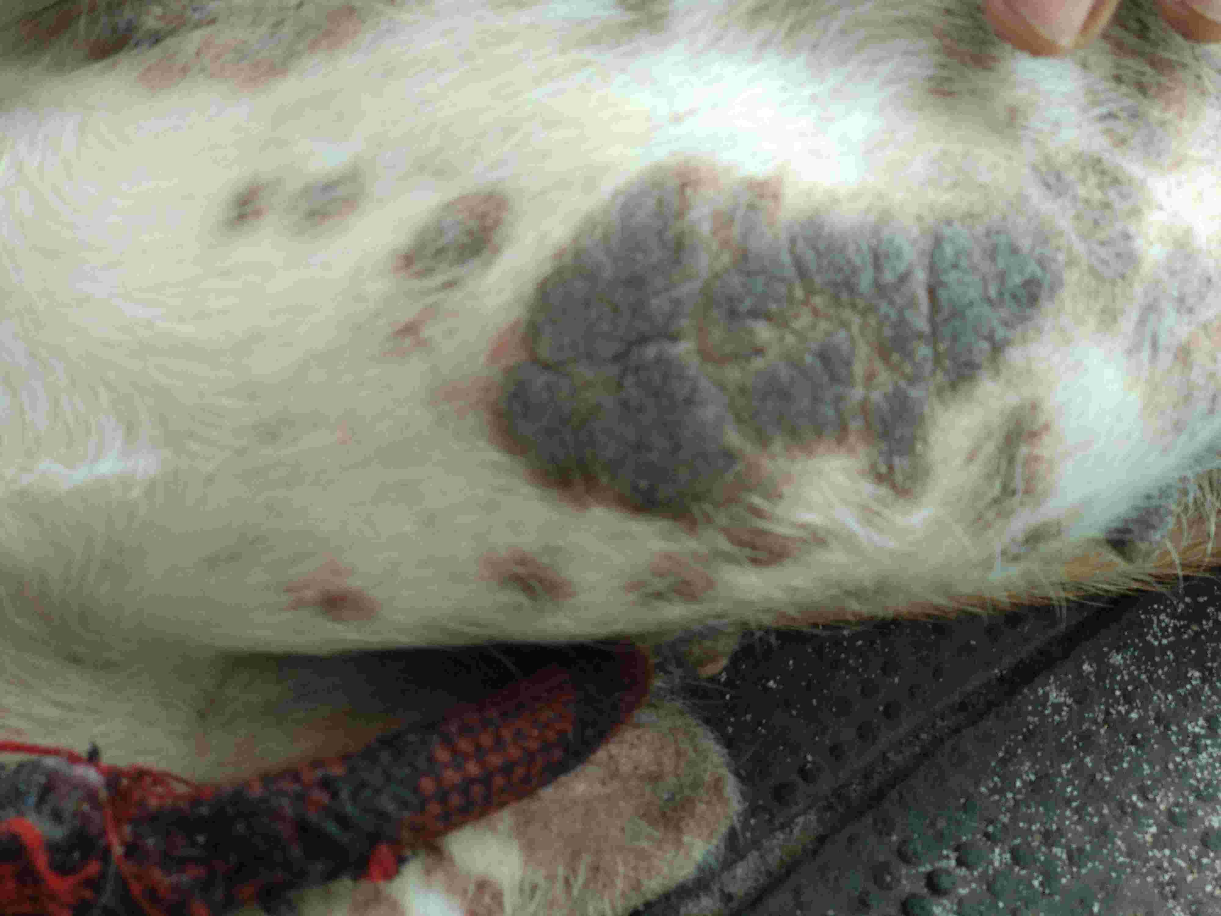 Question details sensitive content