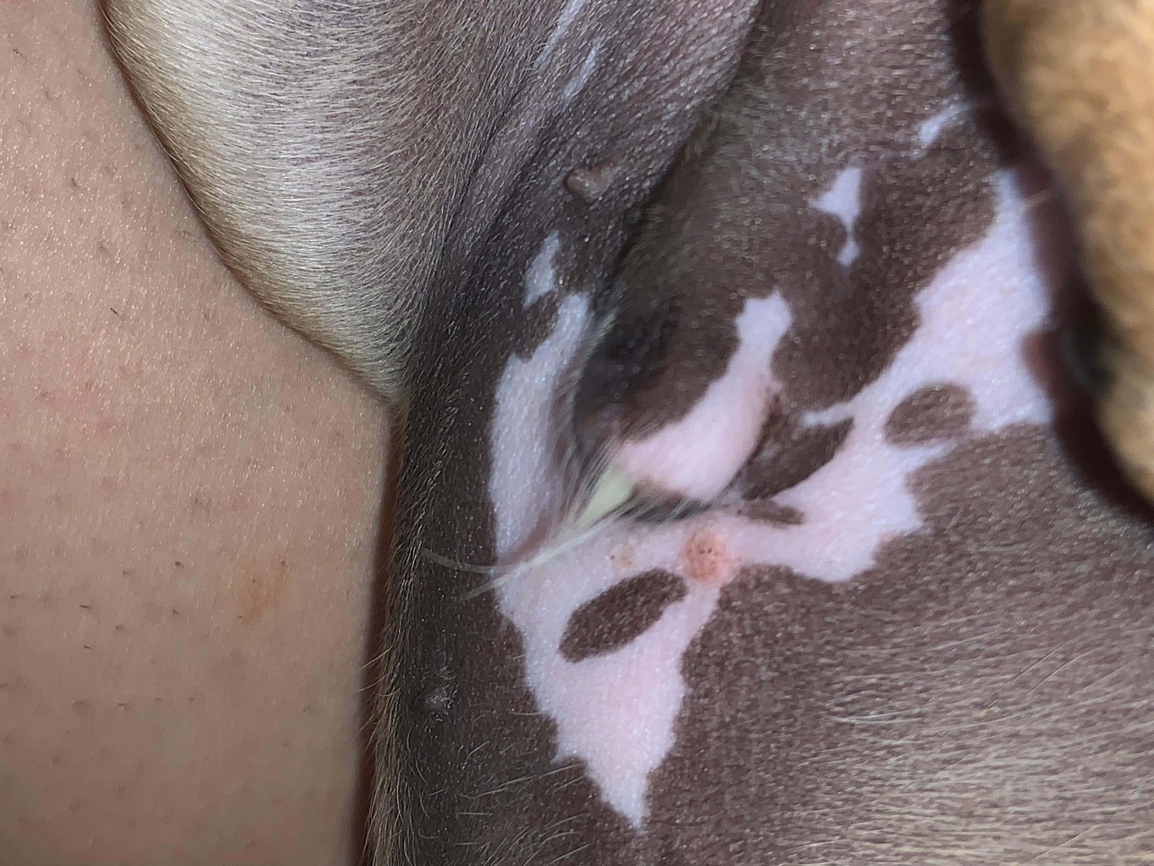 Question details sensitive content