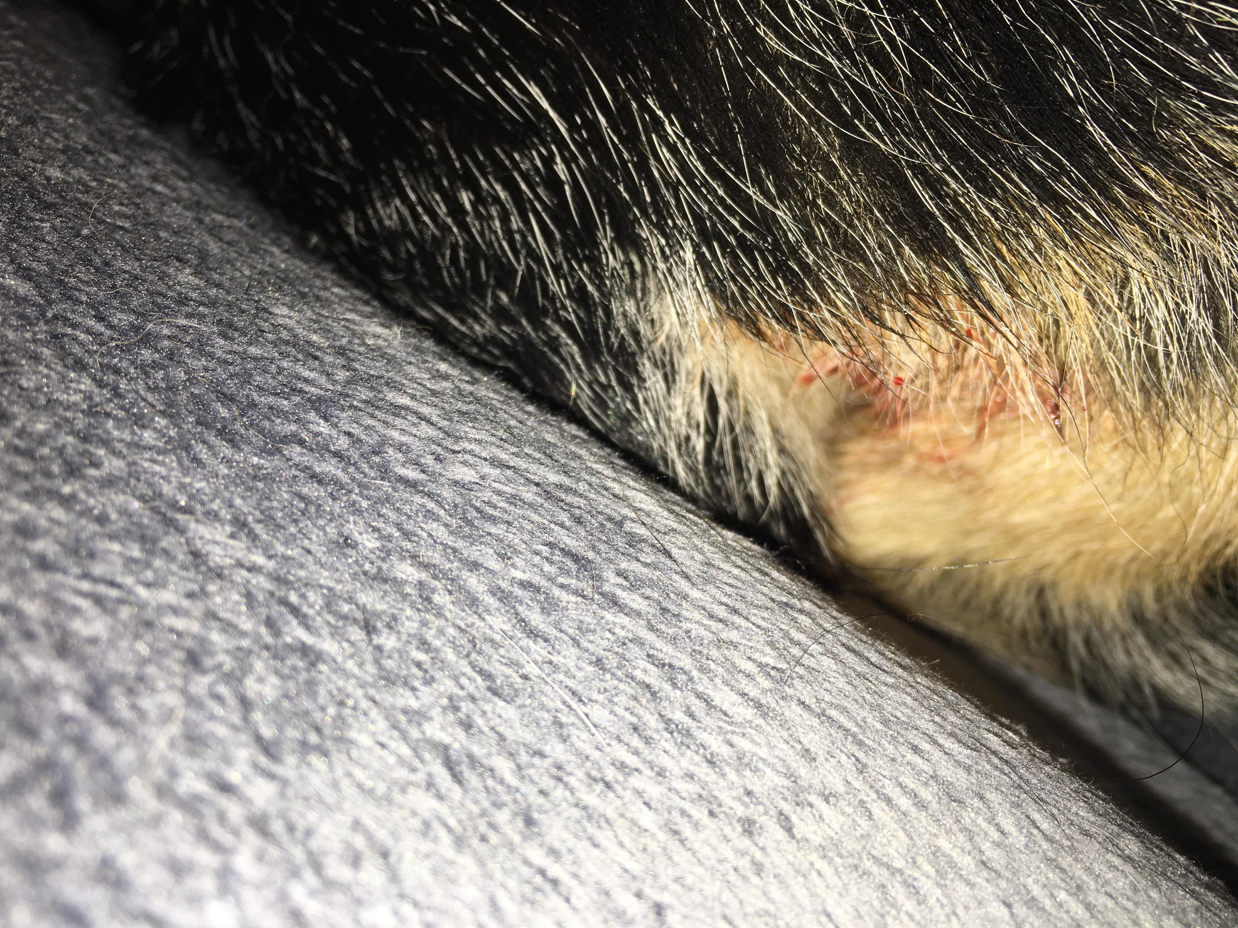 Question details sensitive content