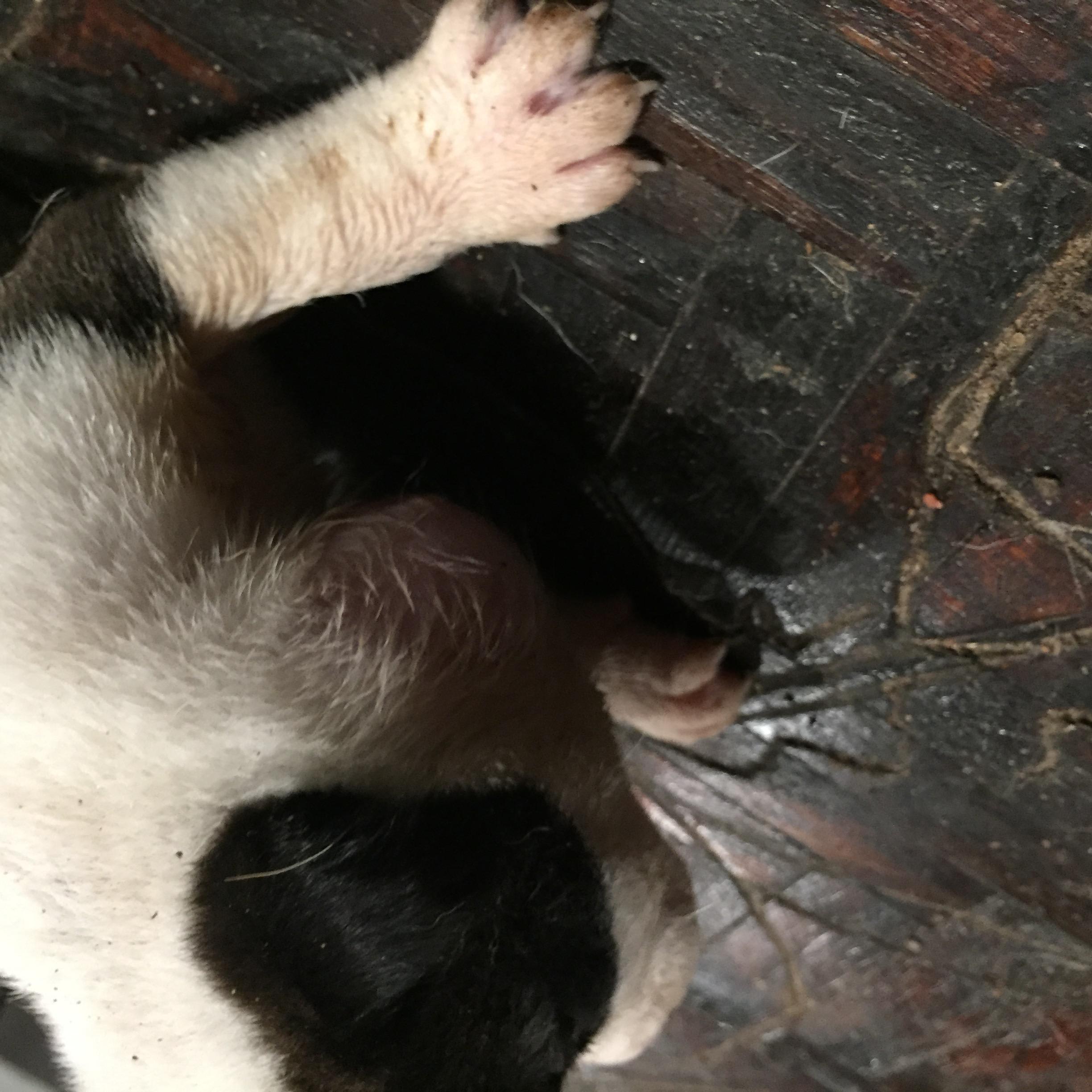 Question details sensitive content