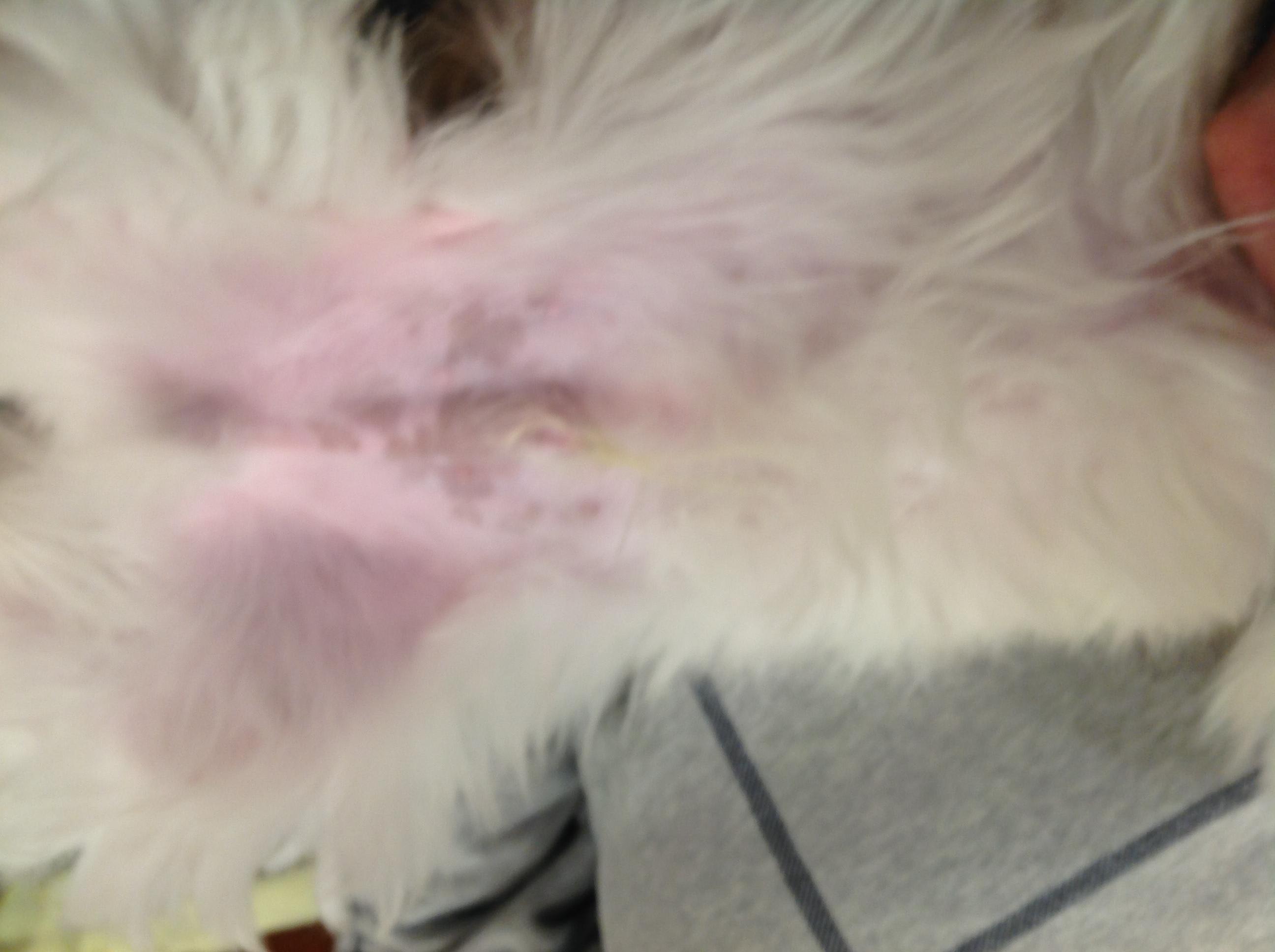 Question details sensitive content