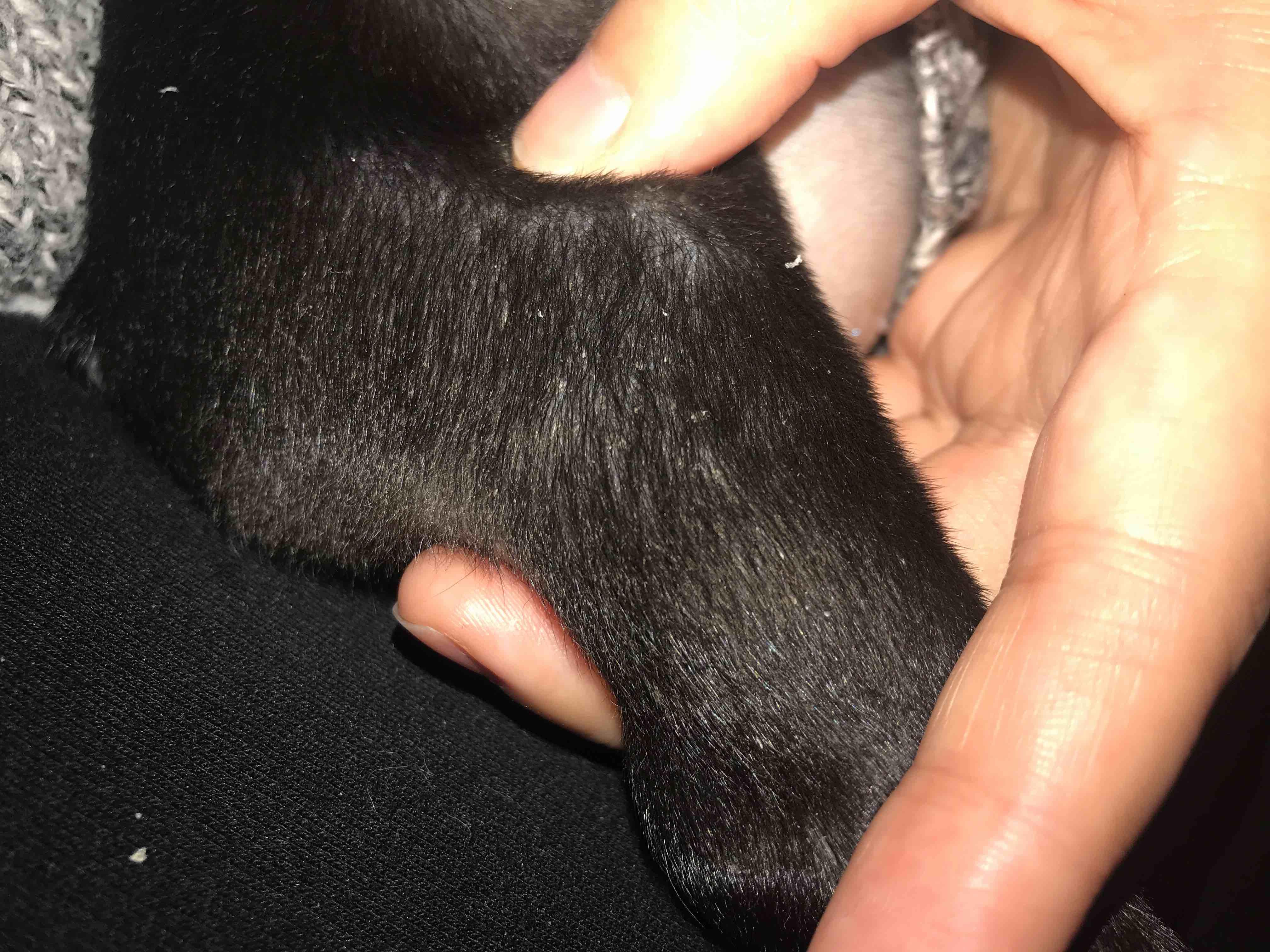 Question details sensitive content