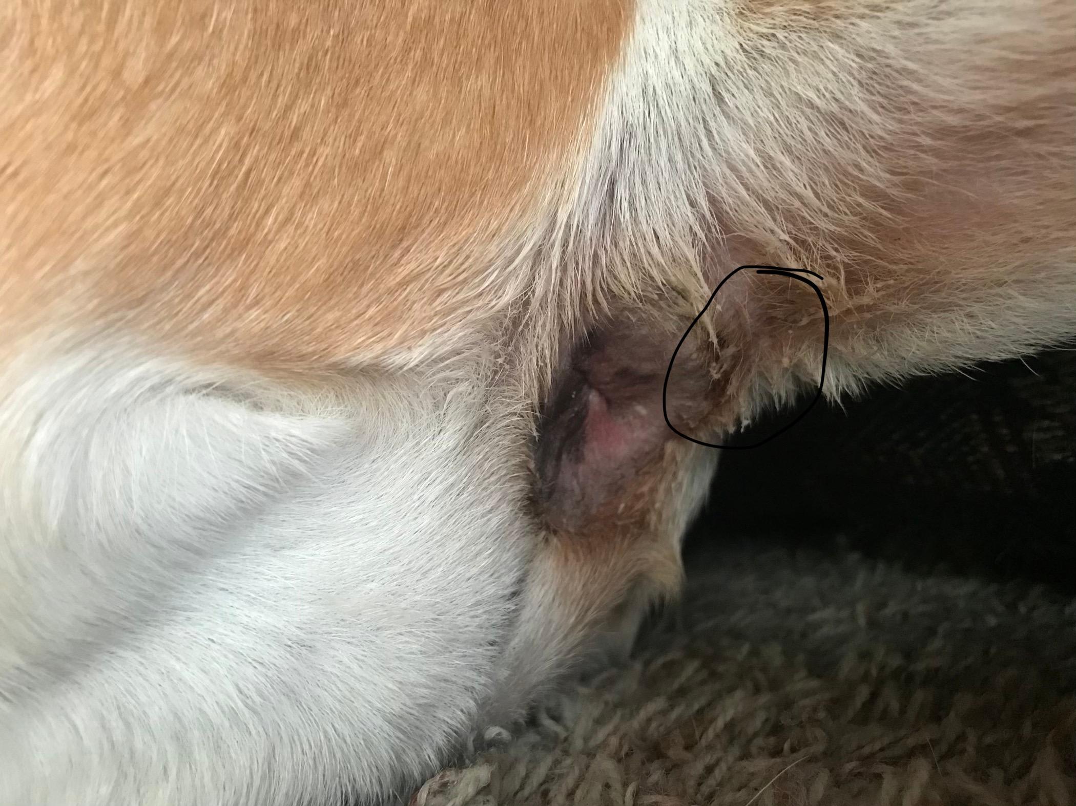 Question details sensitive content