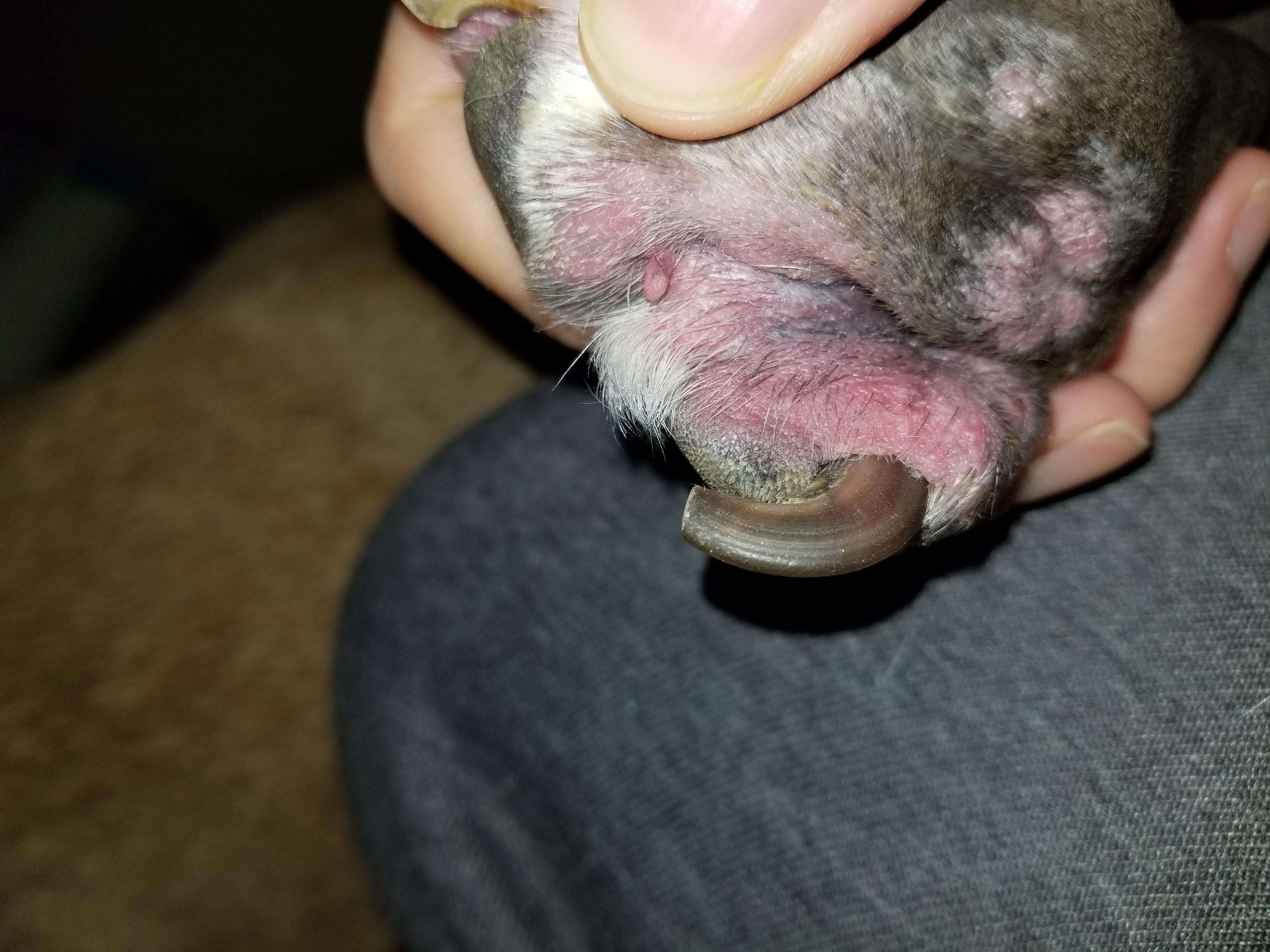 Question details sensitive content