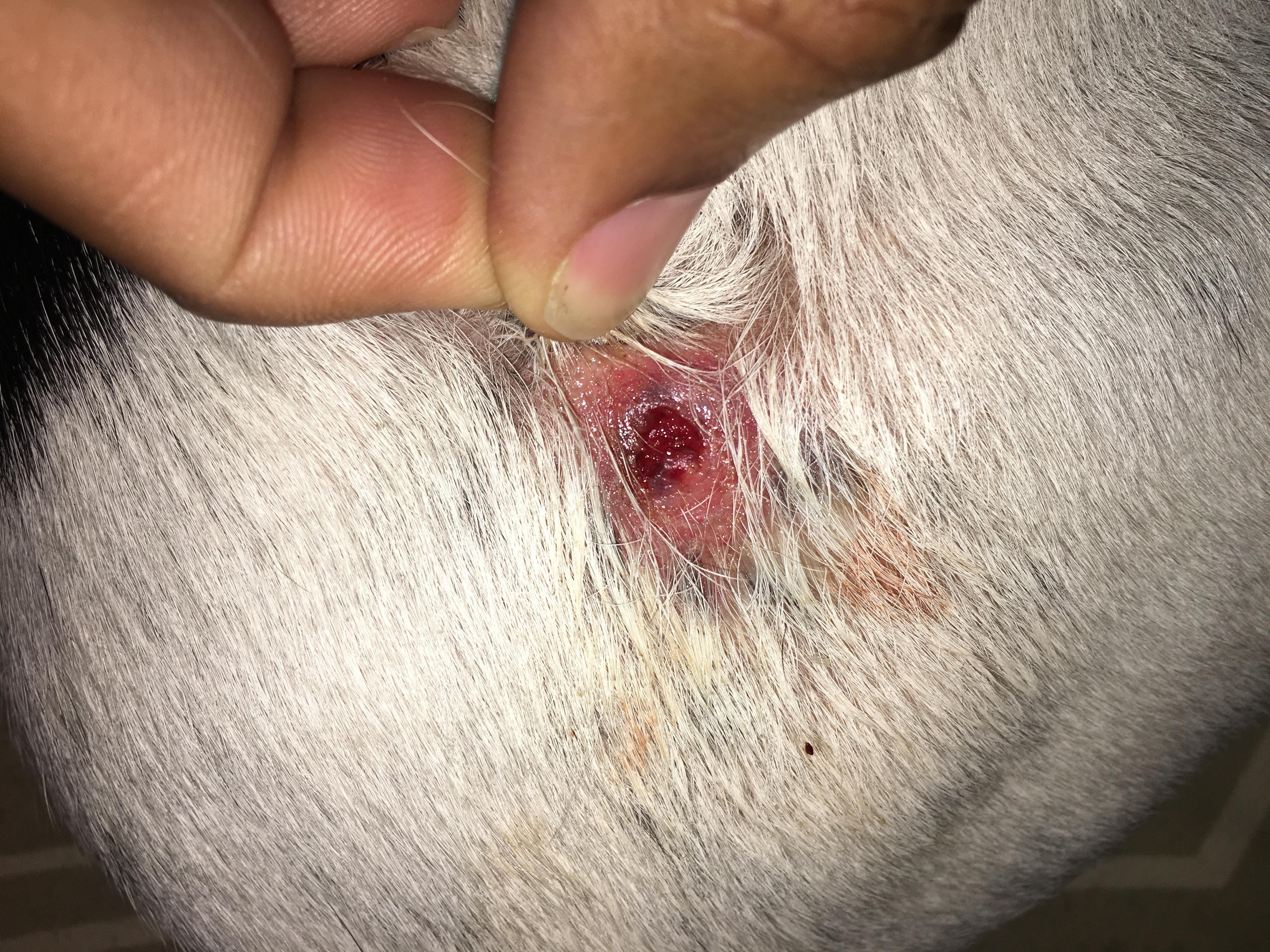 Question details sensitive content