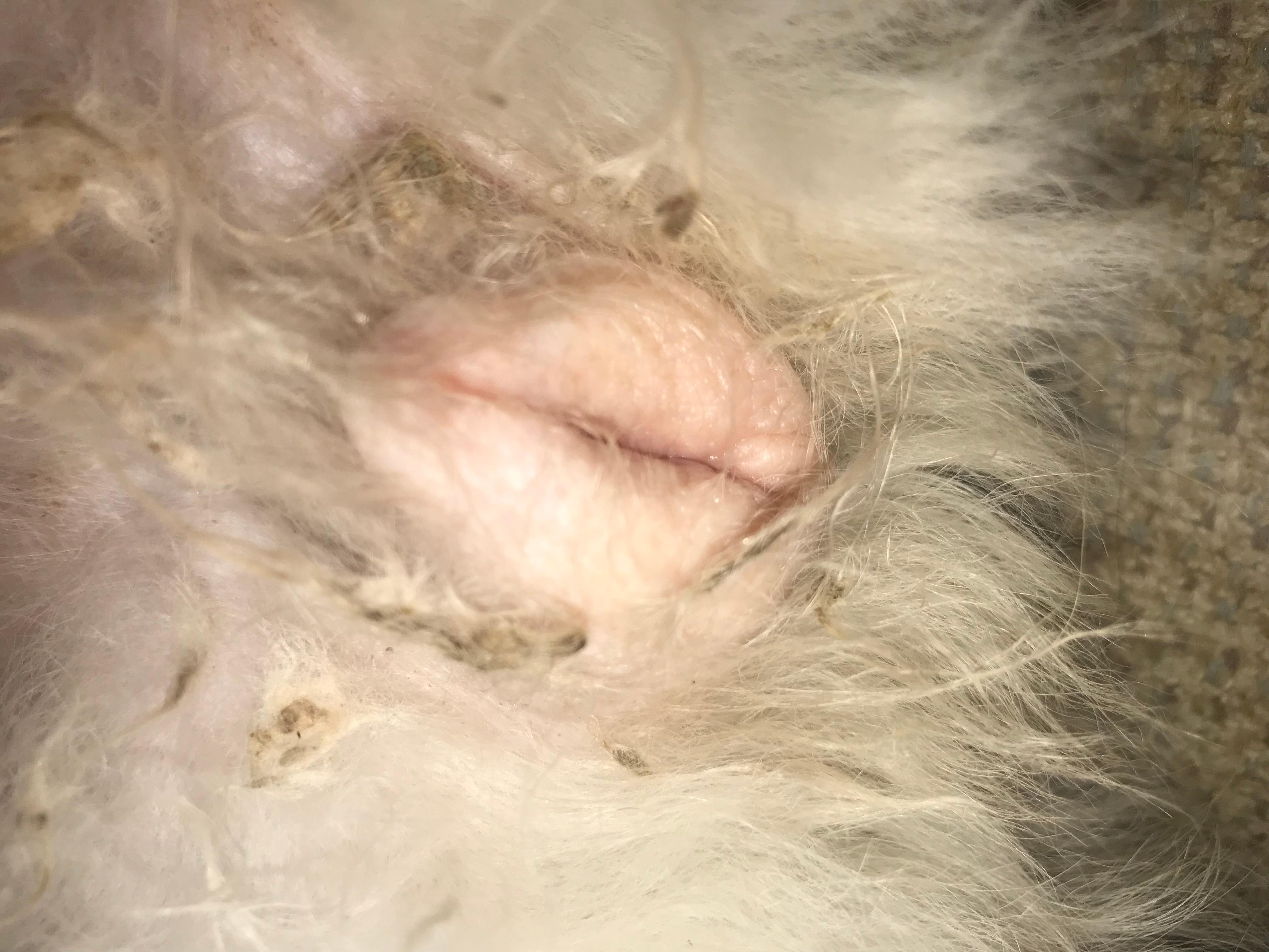 Question details sensitive content