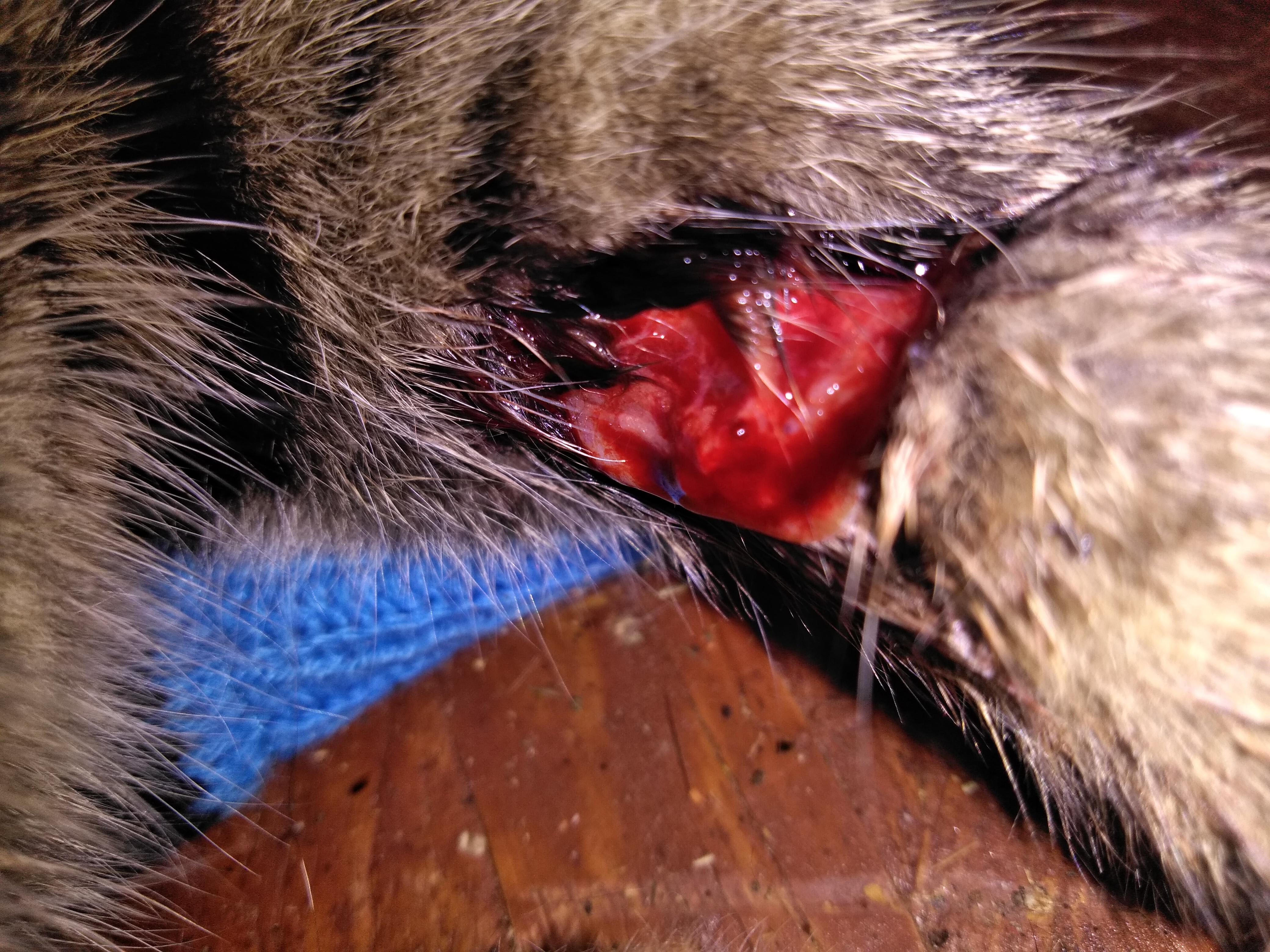 Question details sensitive content