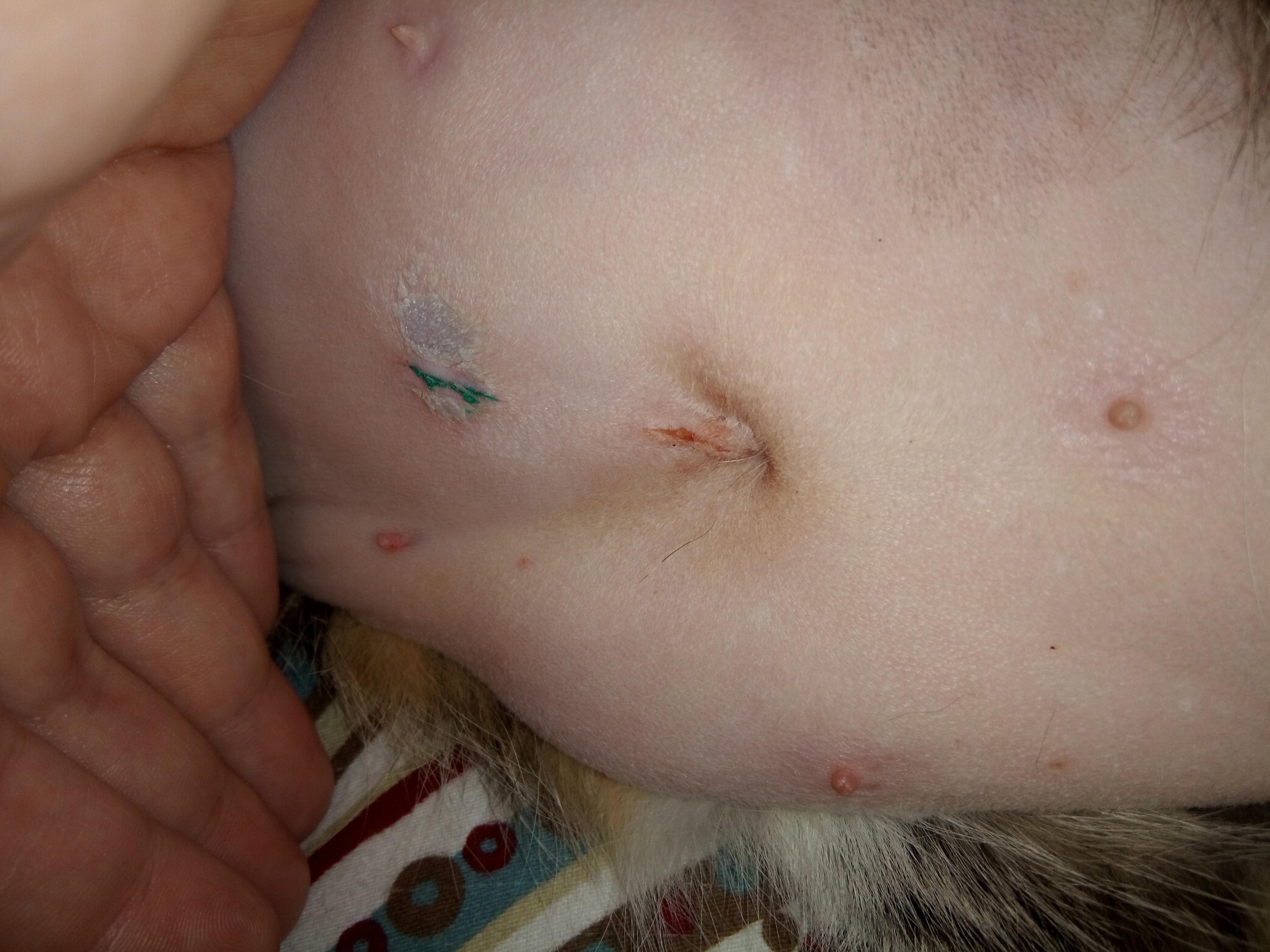 Question details sensitive content