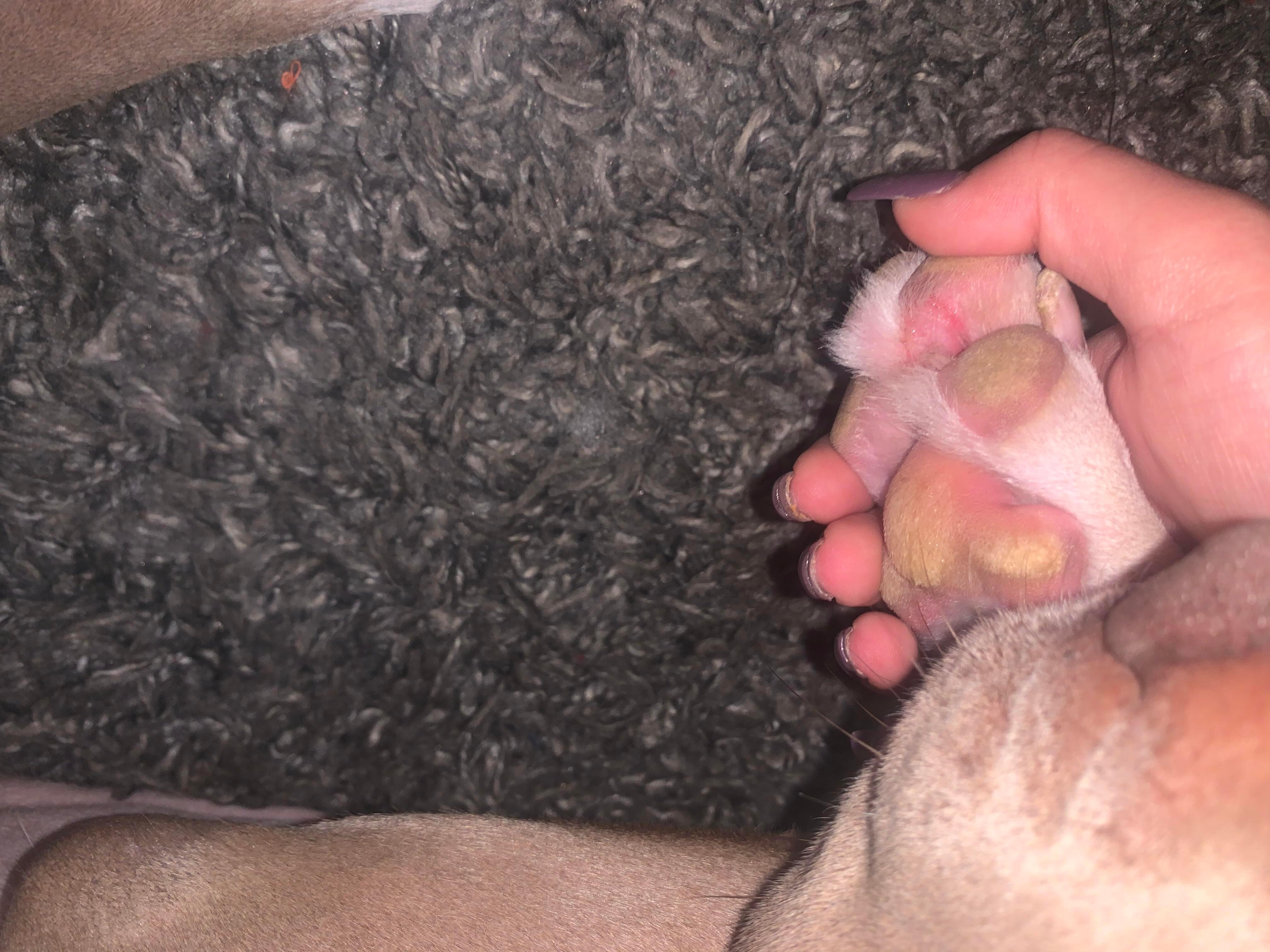 Question details sensitive content