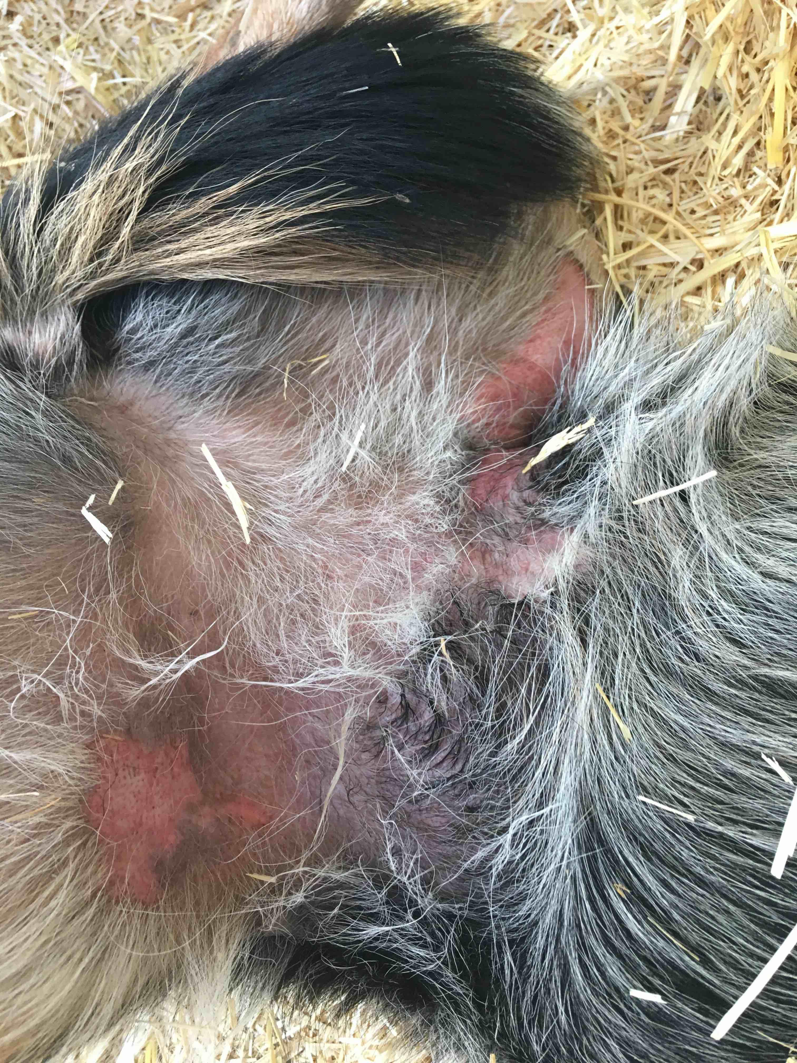 Question details sensitive content