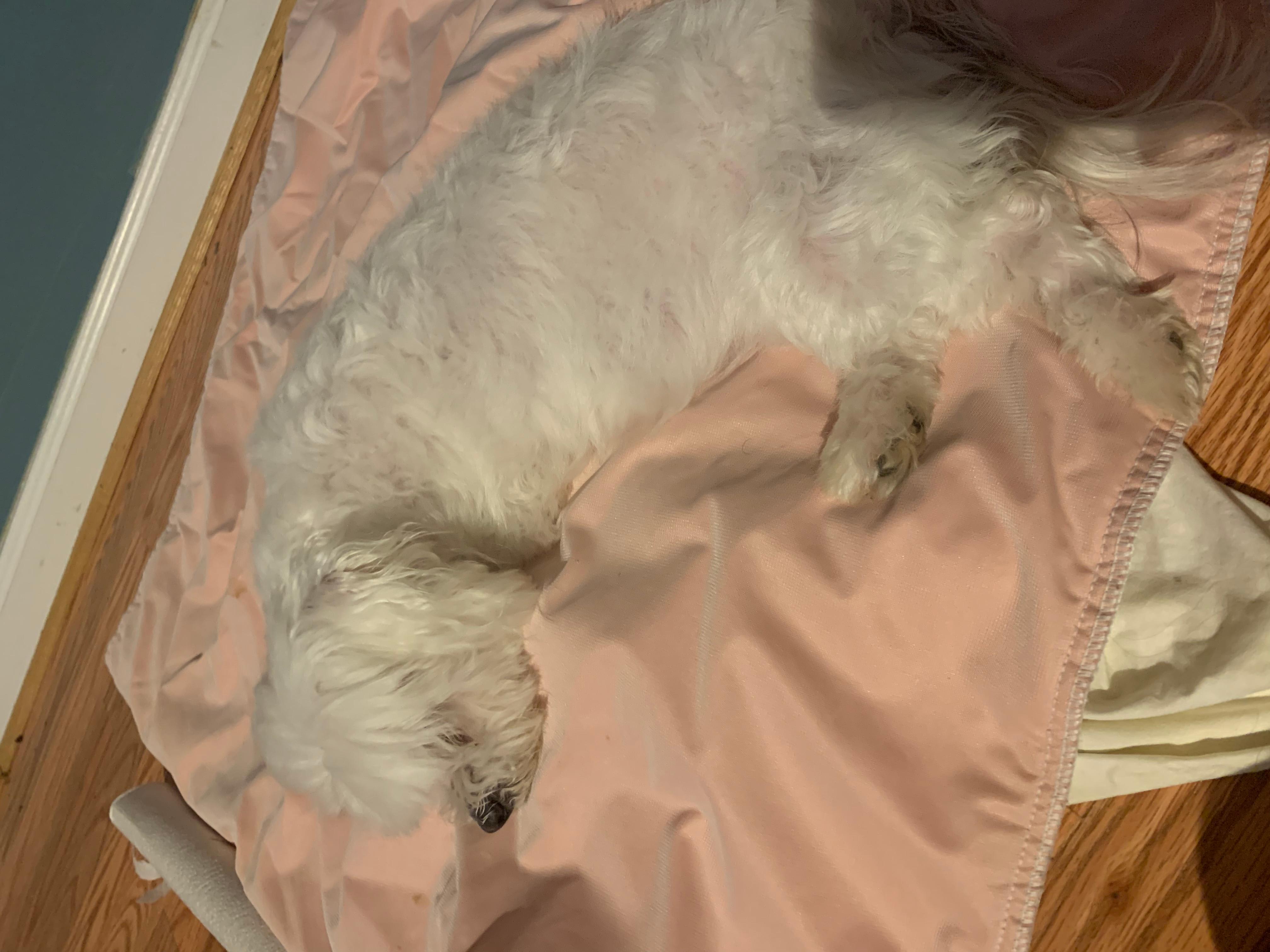 Question details sensitive content