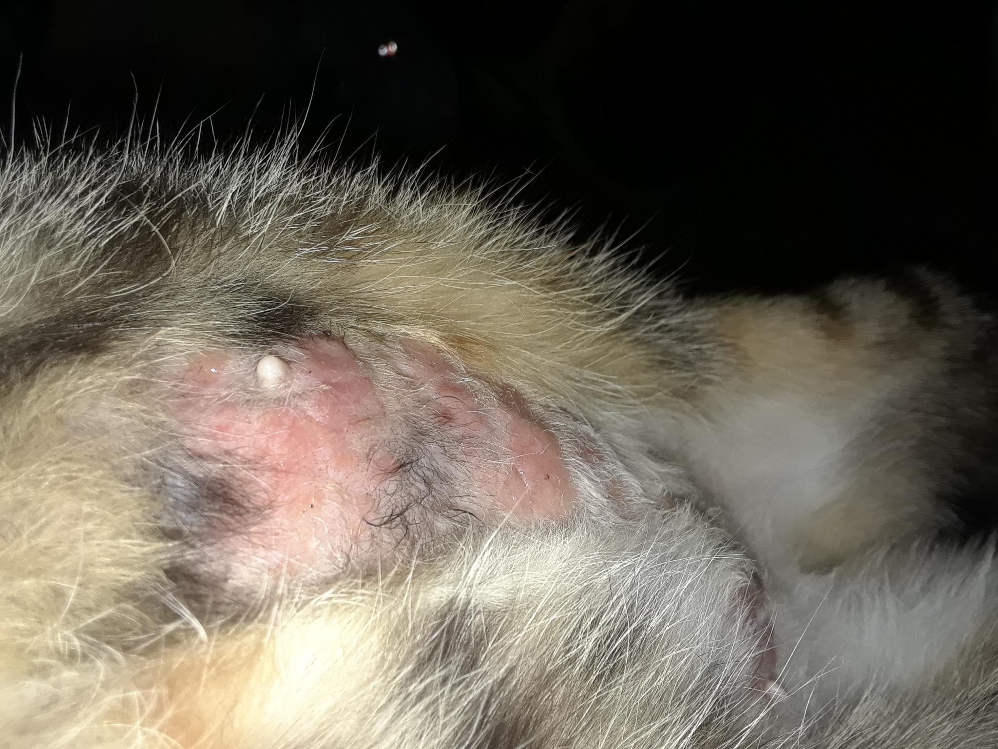 Question details sensitive content