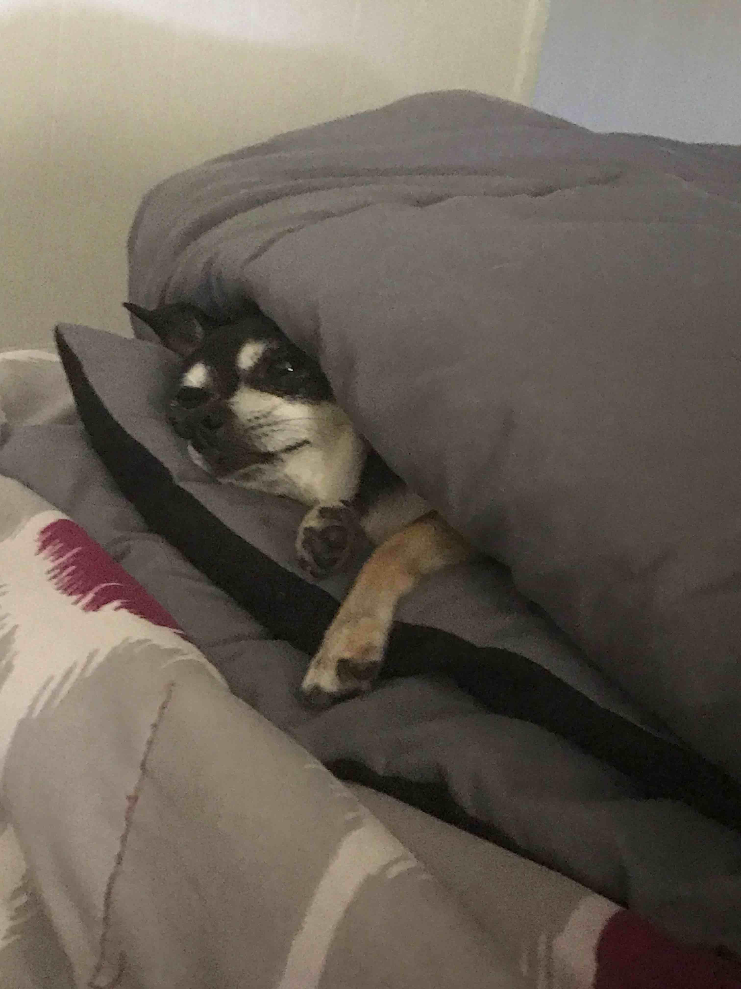 Question details sensitive content