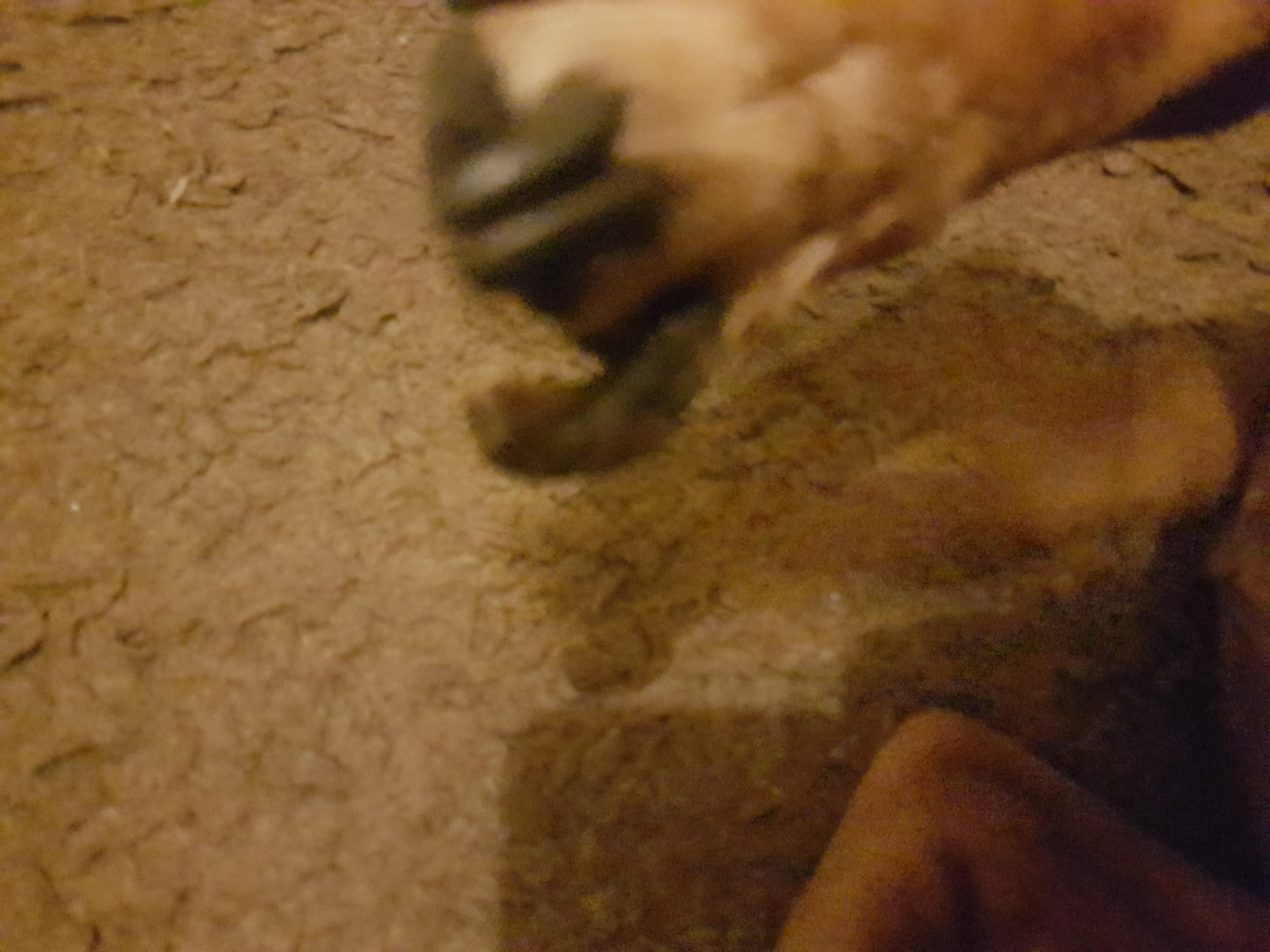 Question details sensitive content