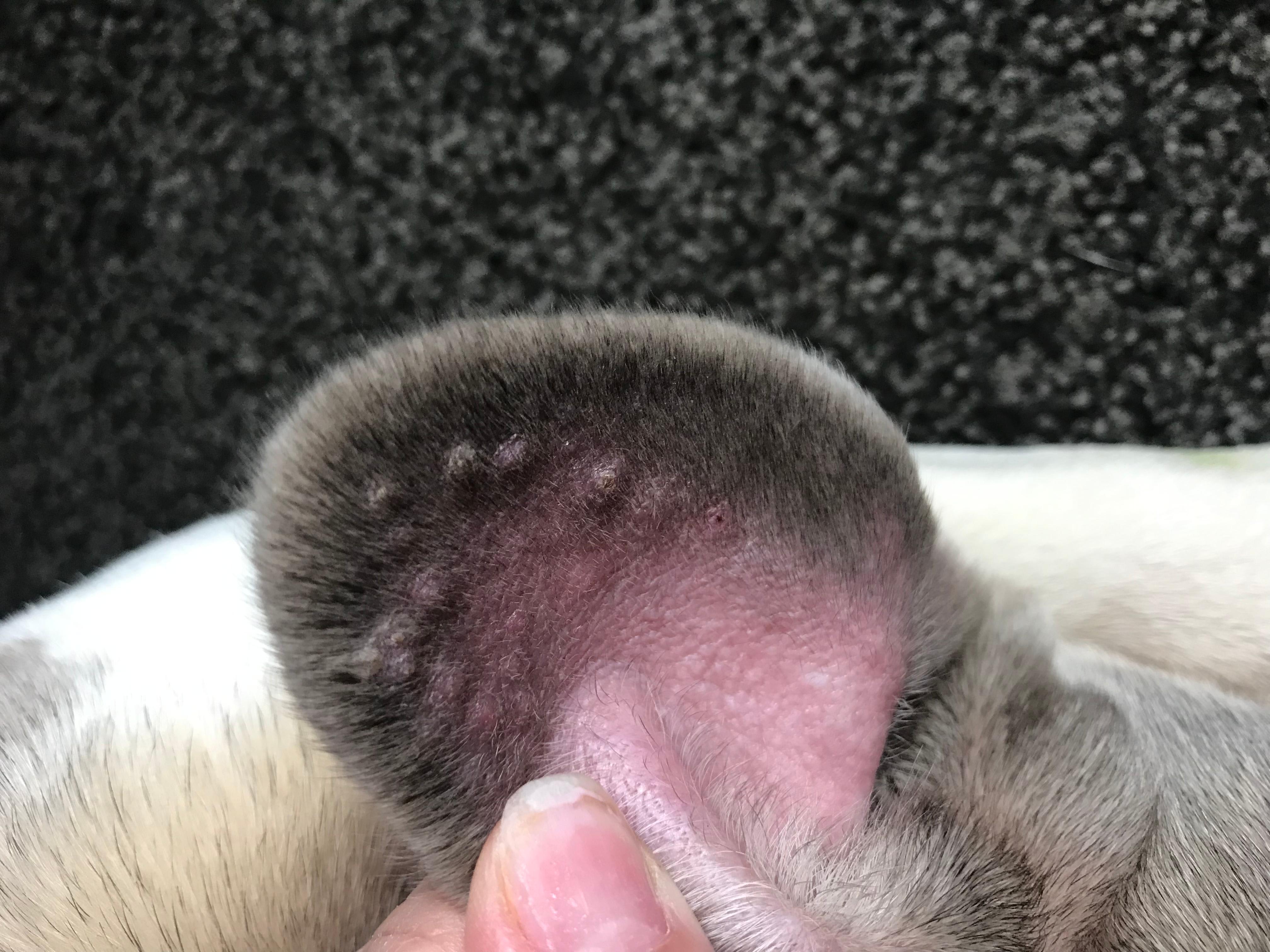 Question details sensitive content