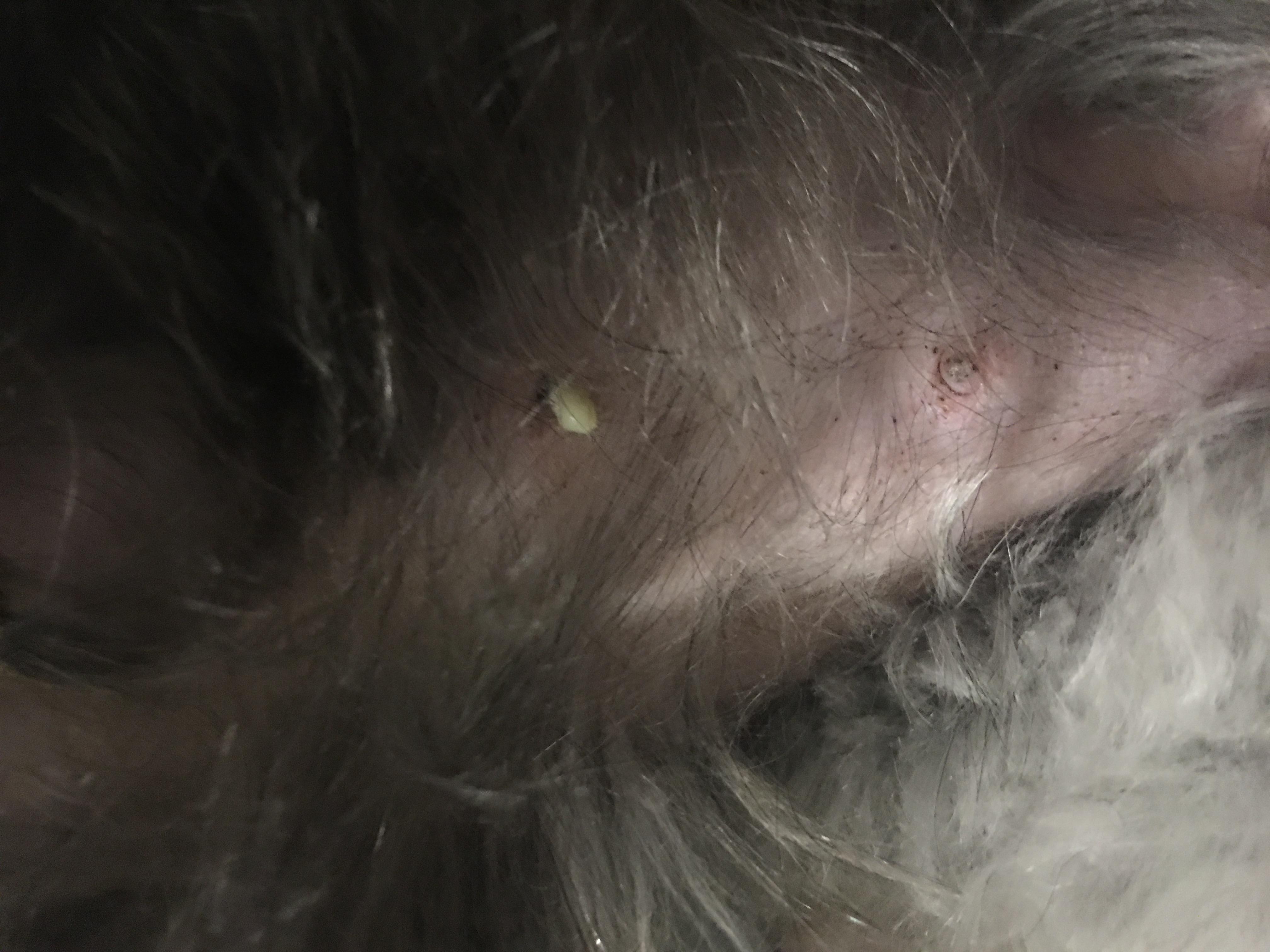 Question details sensitive content